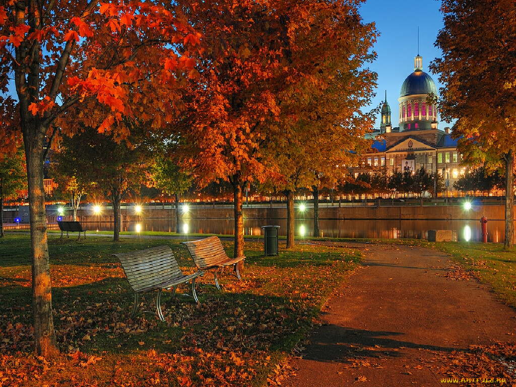 города, огни, ночного, montreal, quebec, canada