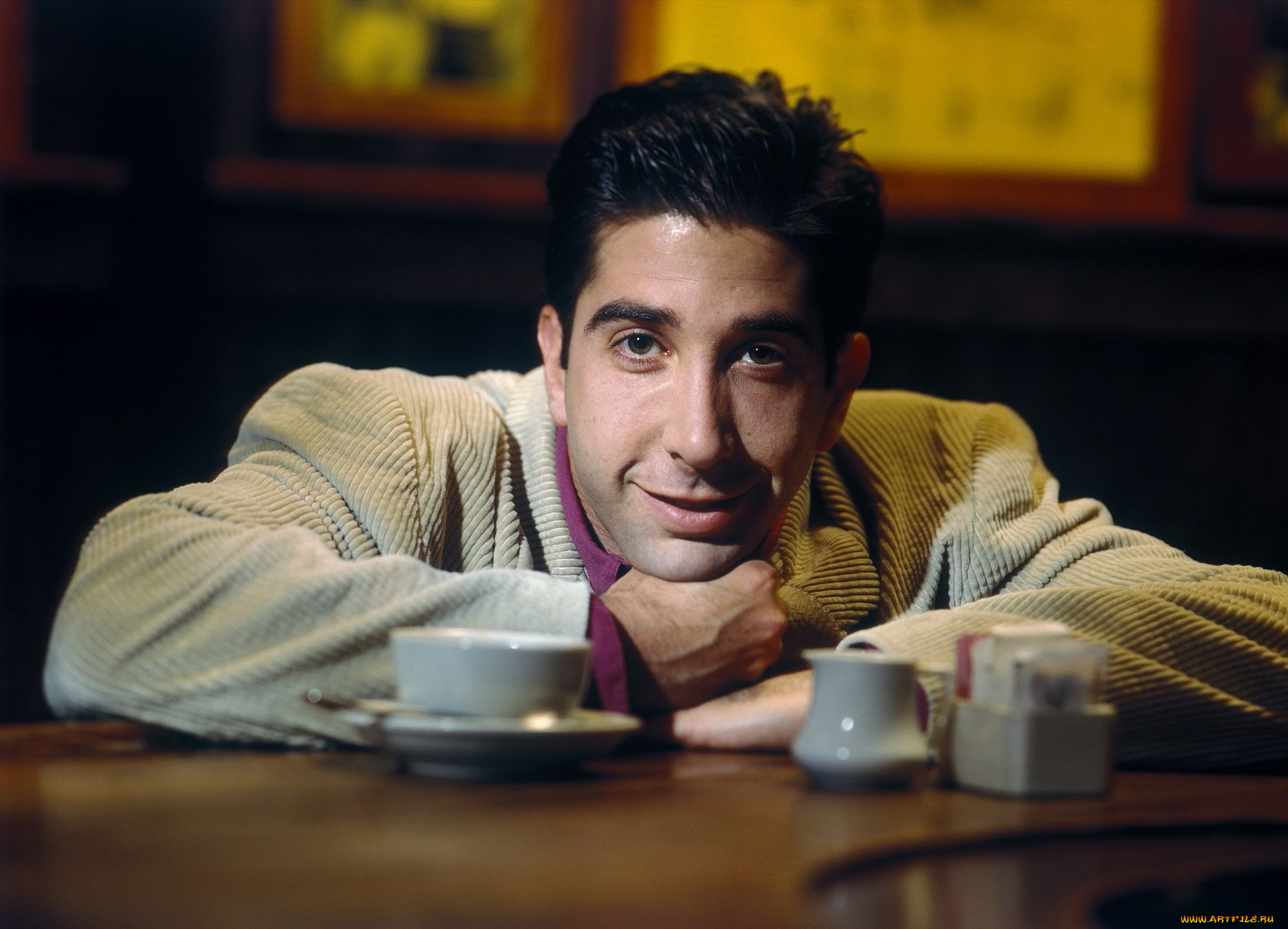 david, schwimmer, мужчины, актер