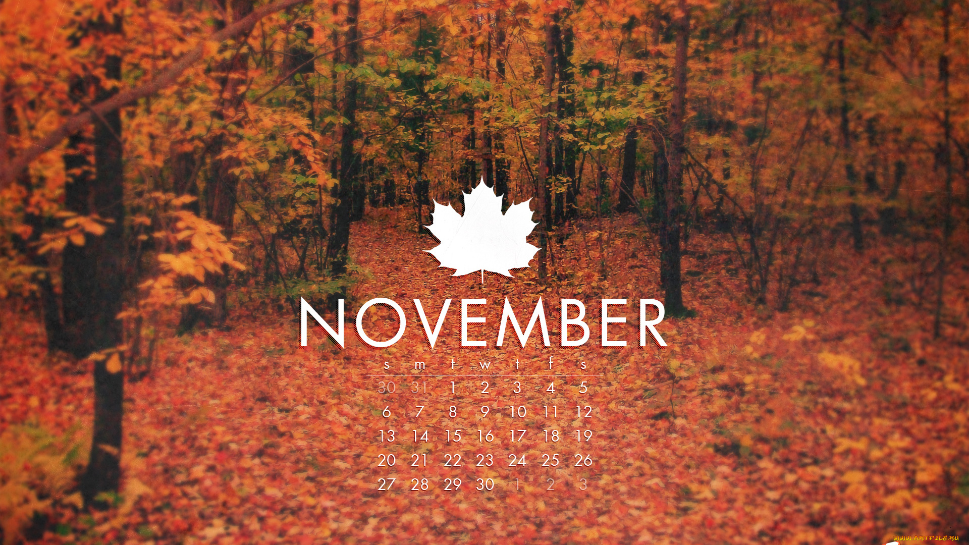 календари, природа, лес, оранжевый, осень