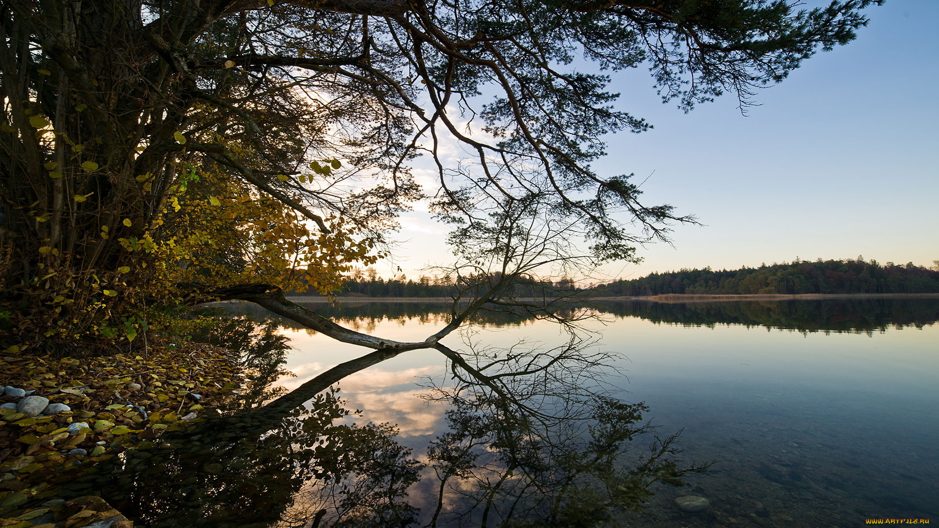 природа, реки, озера, озеро, деревья, берег