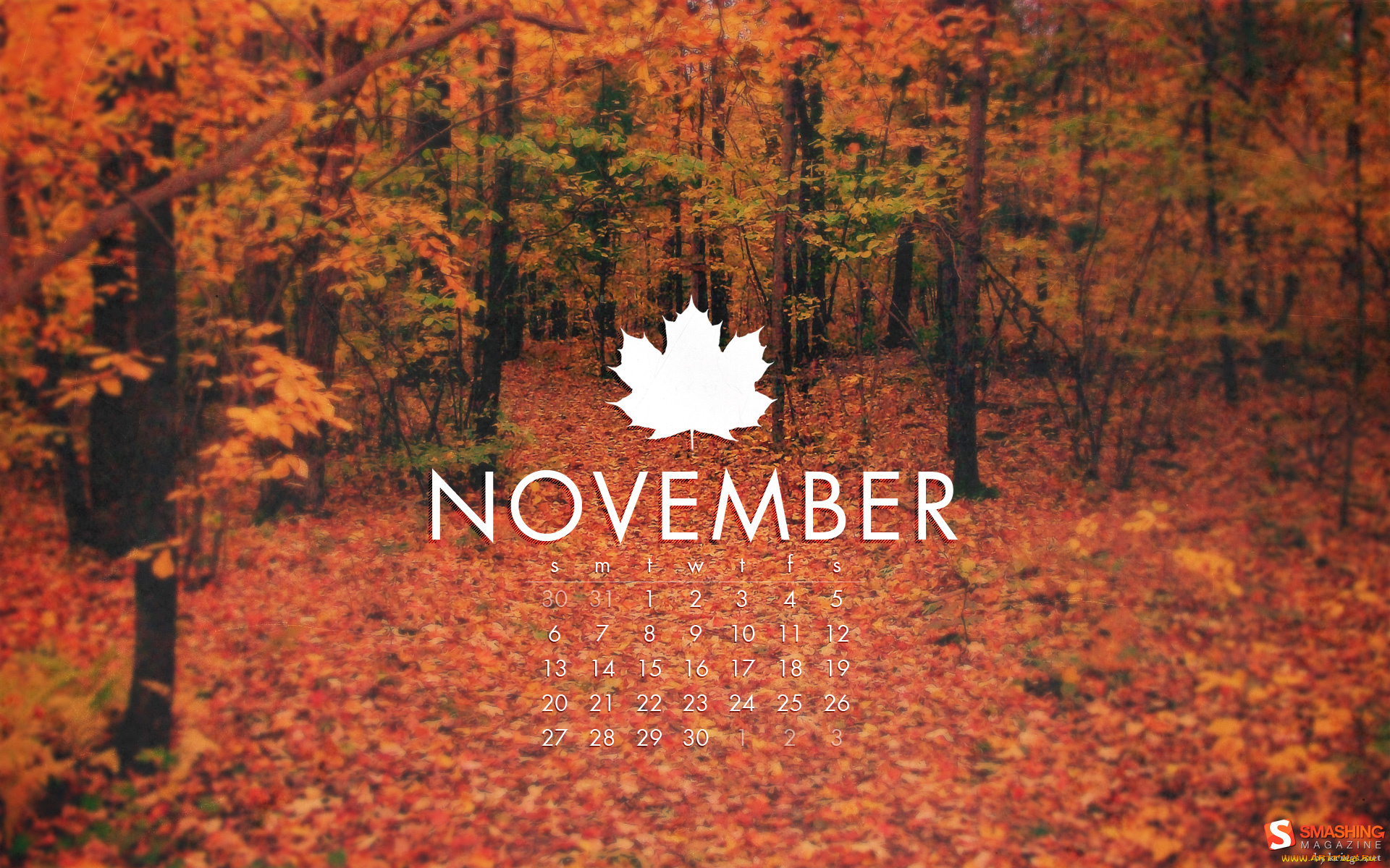 календари, природа, лес, оранжевый, осень