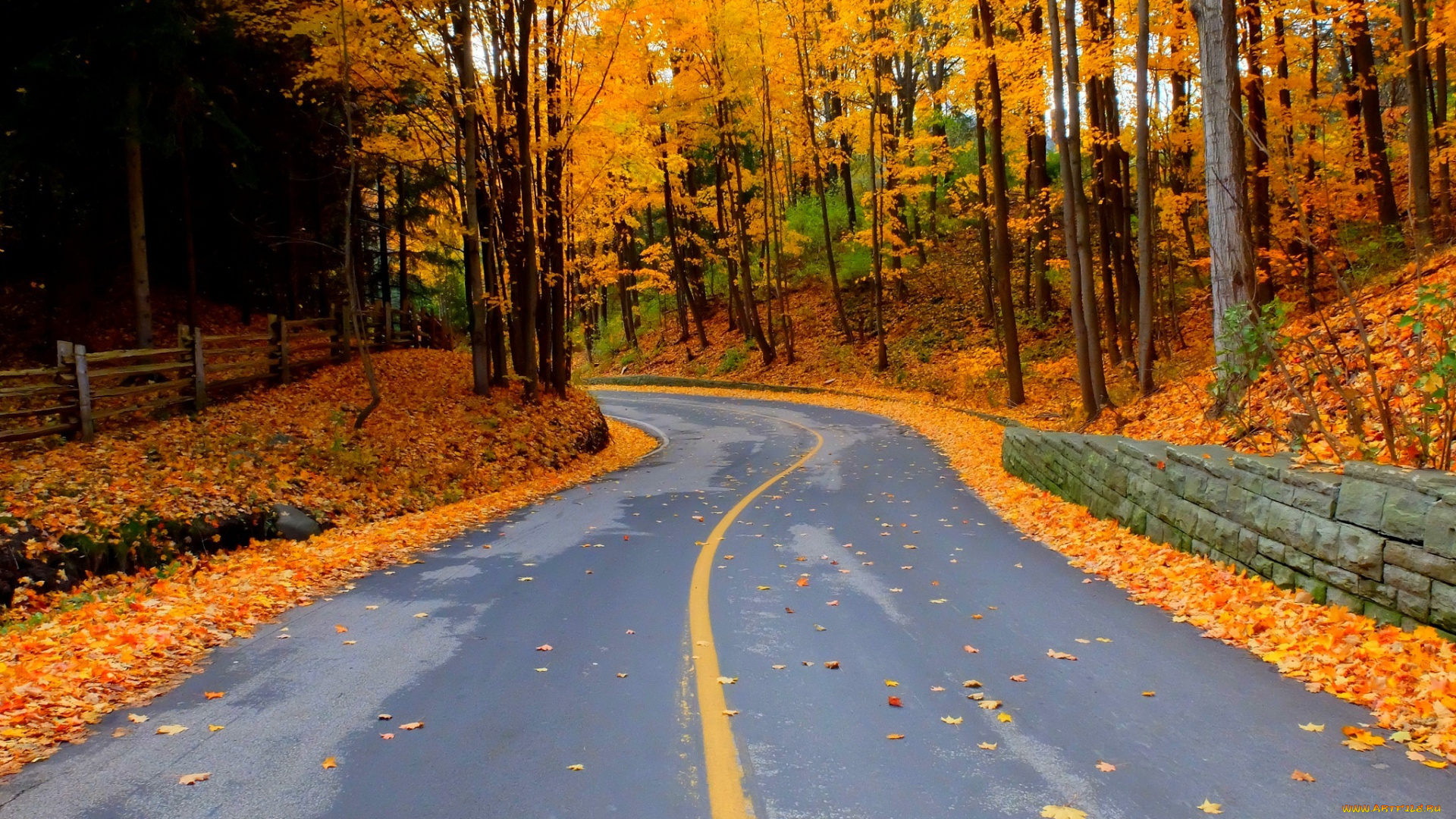 природа, дороги, лес, осень, листья, walk, colors, деревья, colorful, leaves, trees, park, forest, nature, fall, autumn, path, road, парк