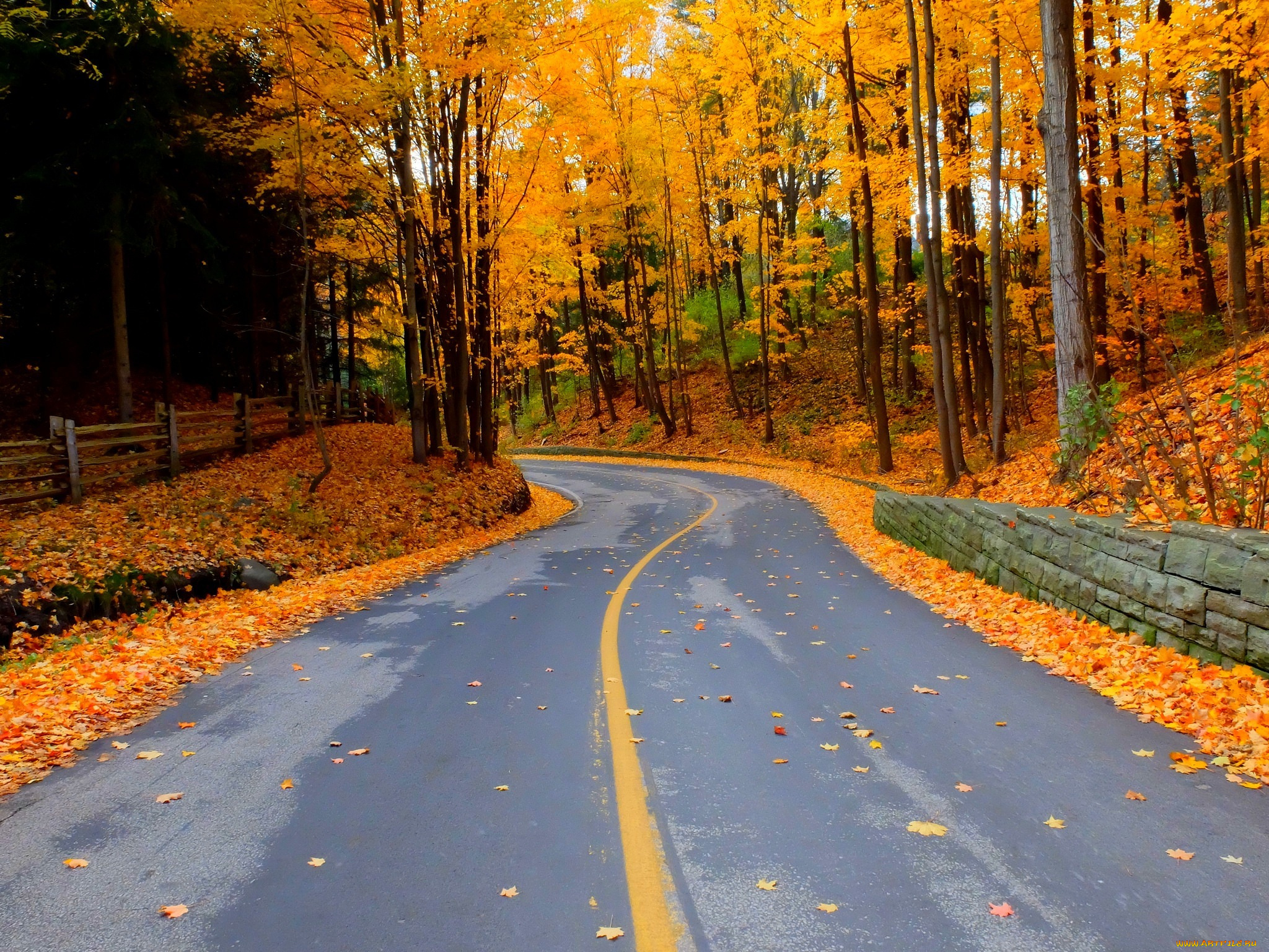 природа, дороги, лес, осень, листья, walk, colors, деревья, colorful, leaves, trees, park, forest, nature, fall, autumn, path, road, парк