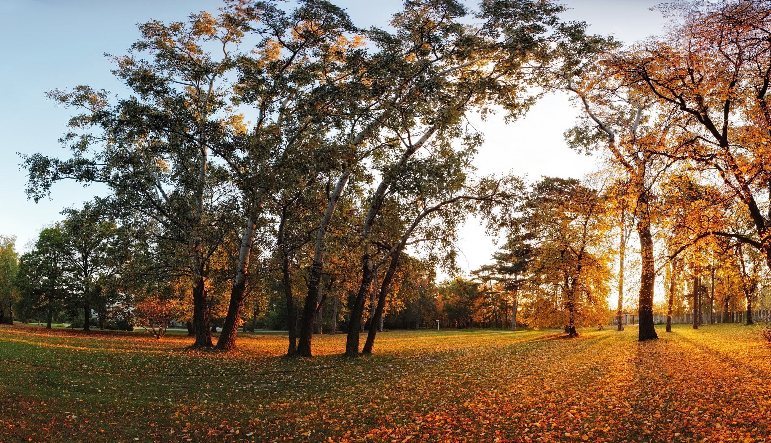 Картинка времена года осень. Русский парк широкие картинки листва. Autumn Trees Ch.