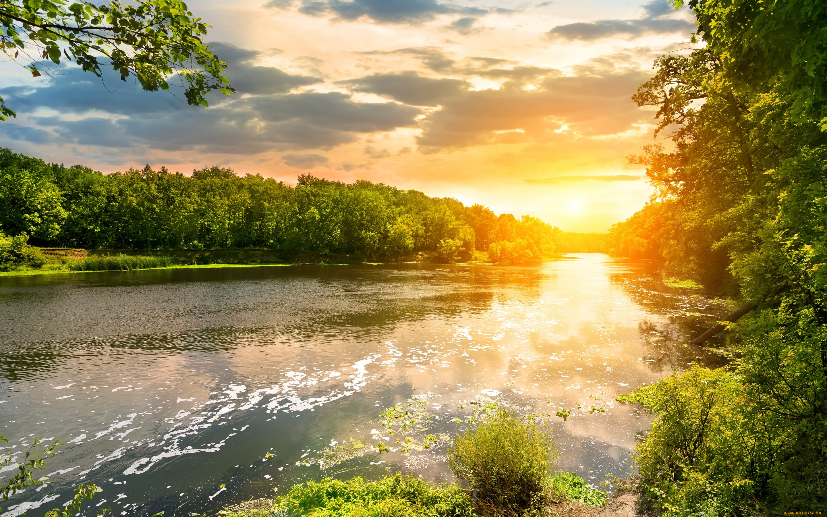 природа, восходы, закаты, river, forest, sunset, река, закат, landscape, лес