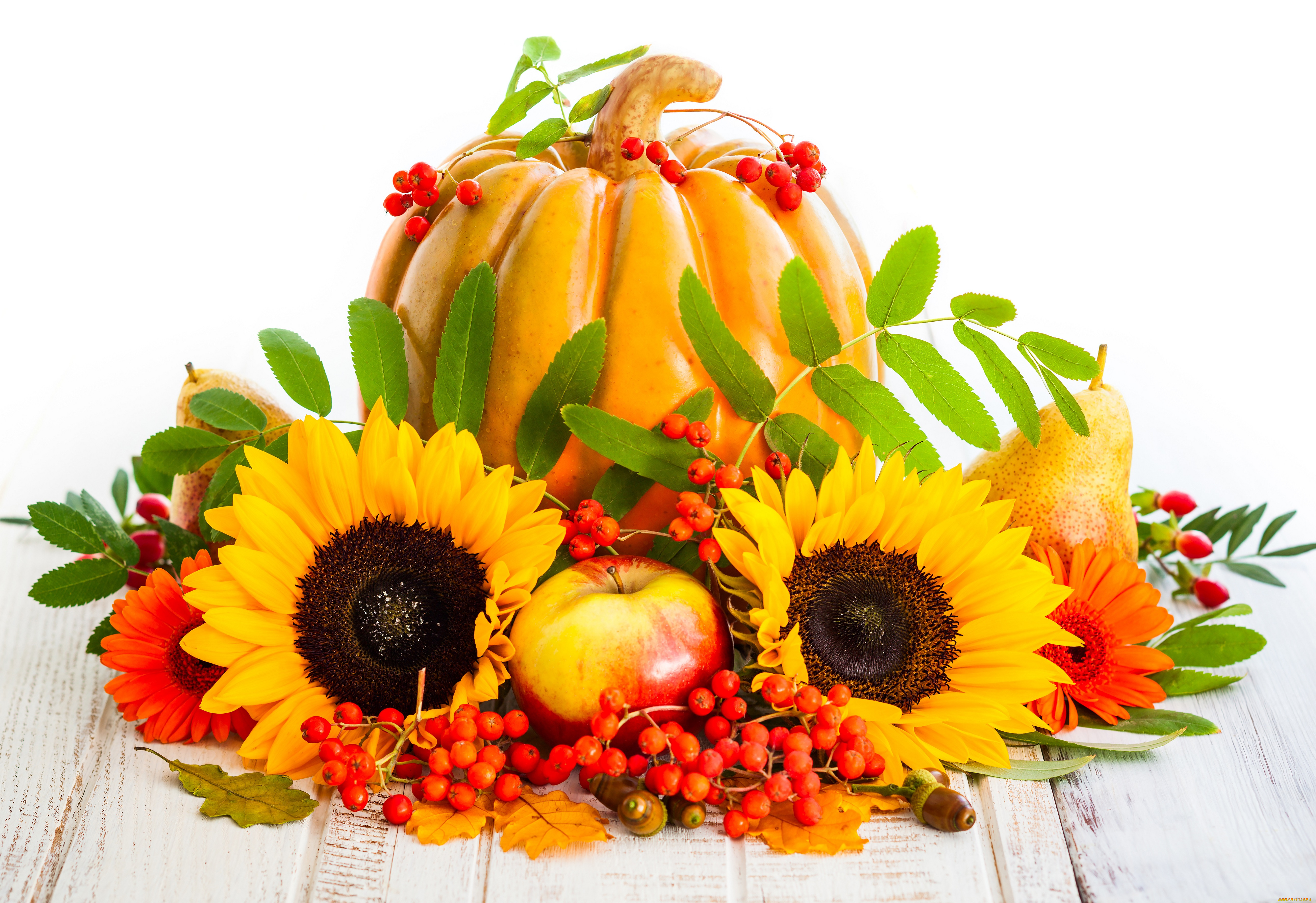 еда, натюрморт, autumn, подсолнухи, яблоки, pumpkin, осень, урожай, листья, фрукты, sunflower, harvest, тыква, груши, ягоды