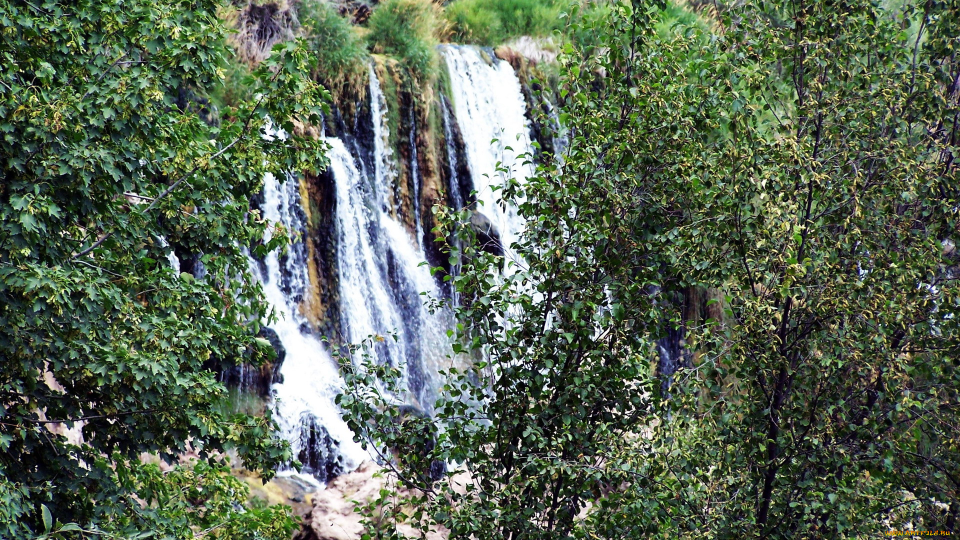 природа, водопады, деревья, поток