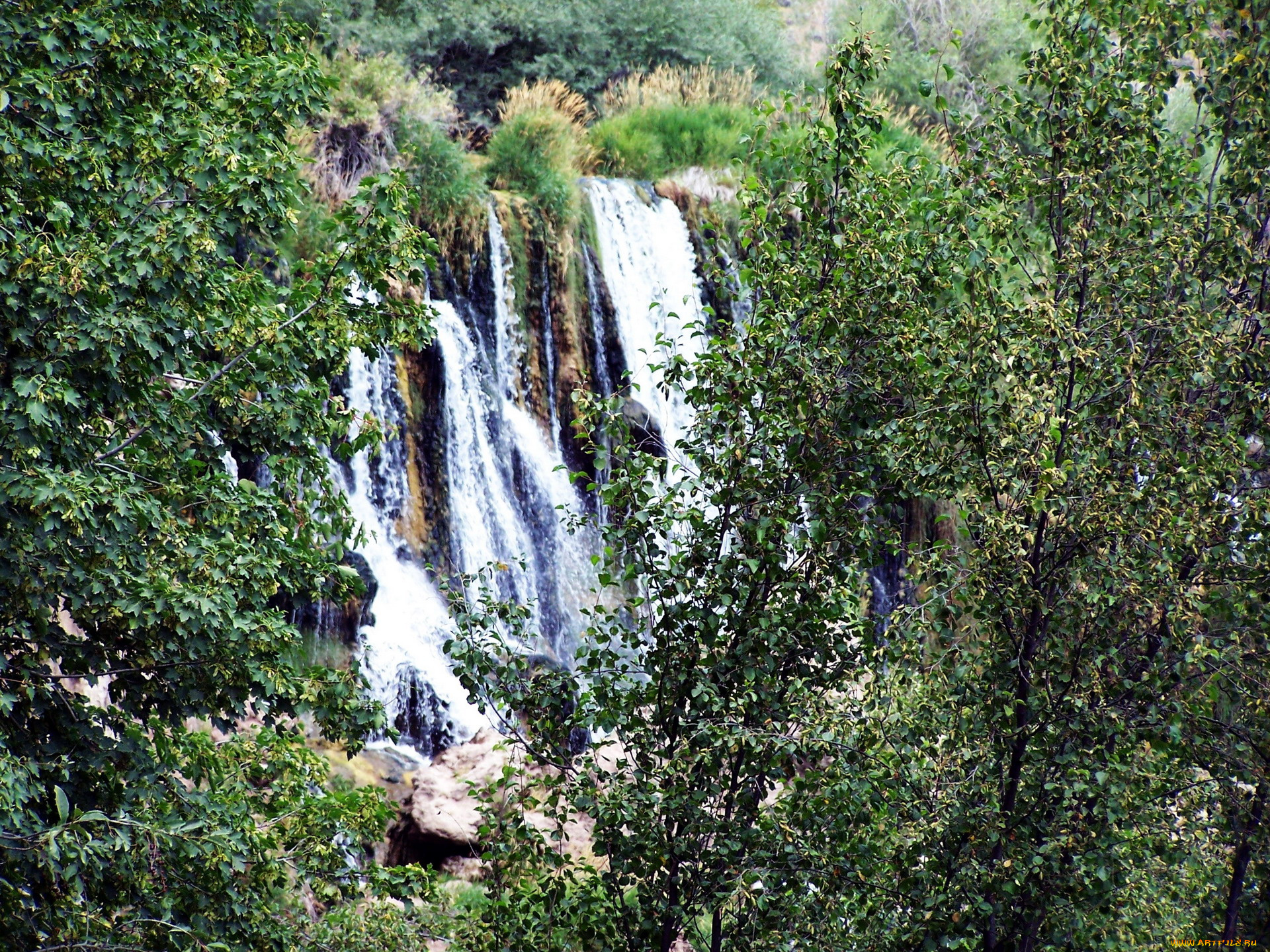 природа, водопады, деревья, поток