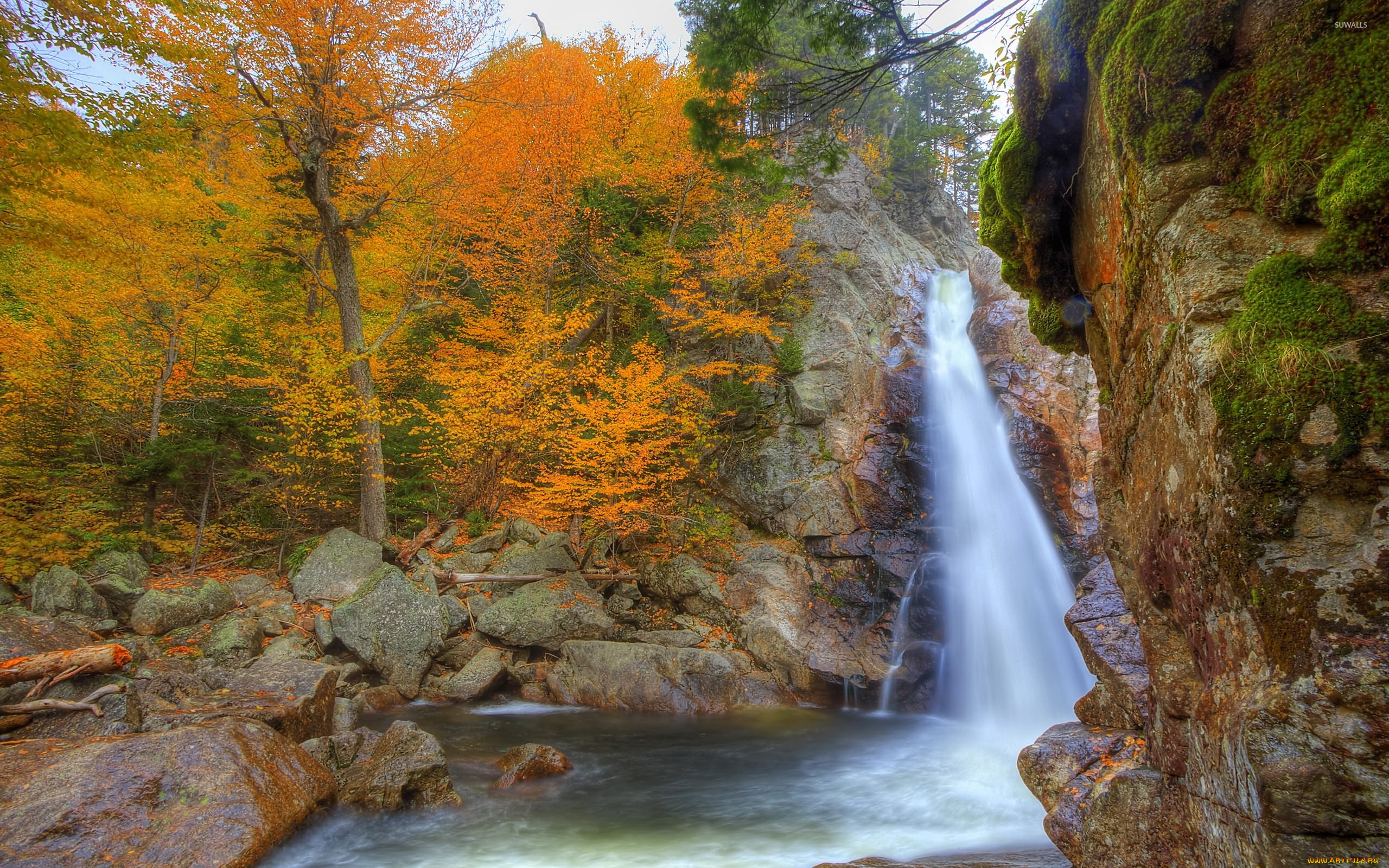 природа, водопады, лес, осень, поток