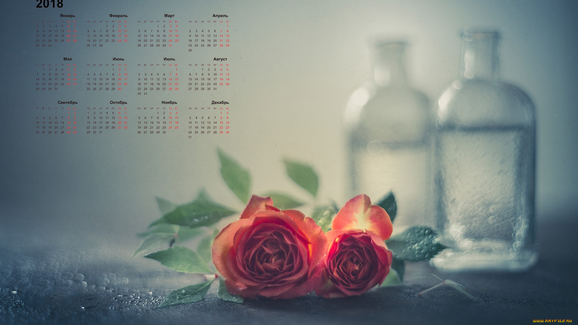 календари, цветы, роза, бутыль, 2018