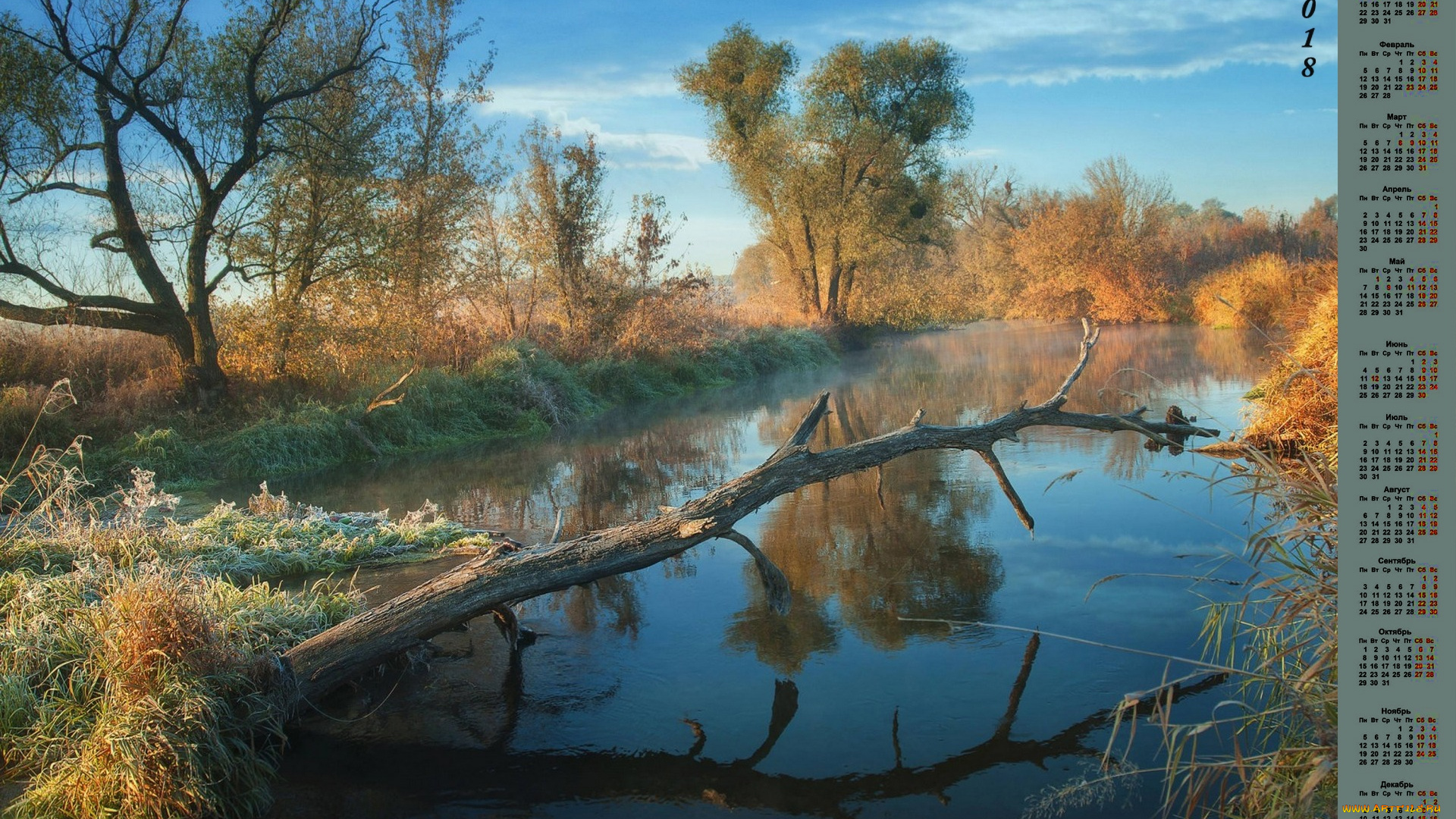 календари, природа, растения, деревья, 2018, водоем