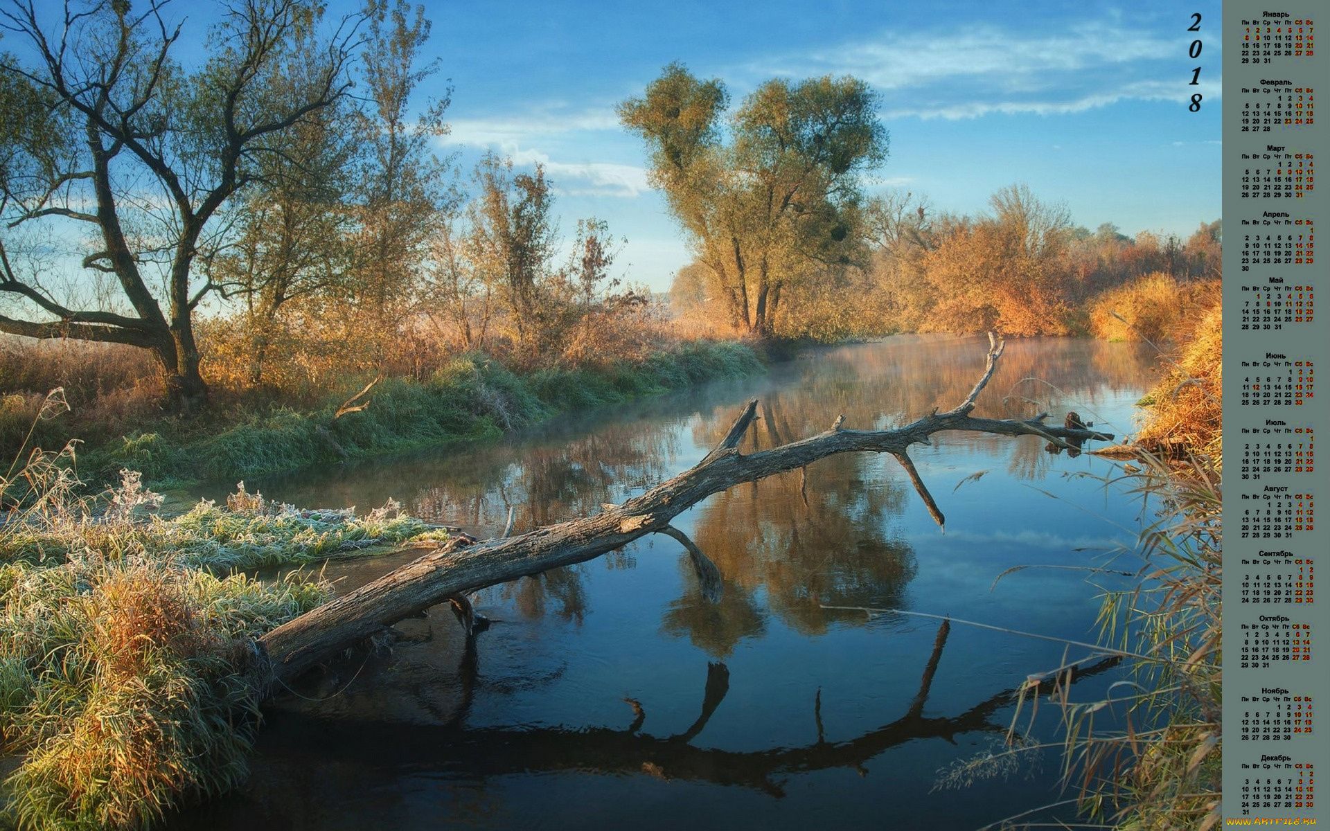 календари, природа, растения, деревья, 2018, водоем