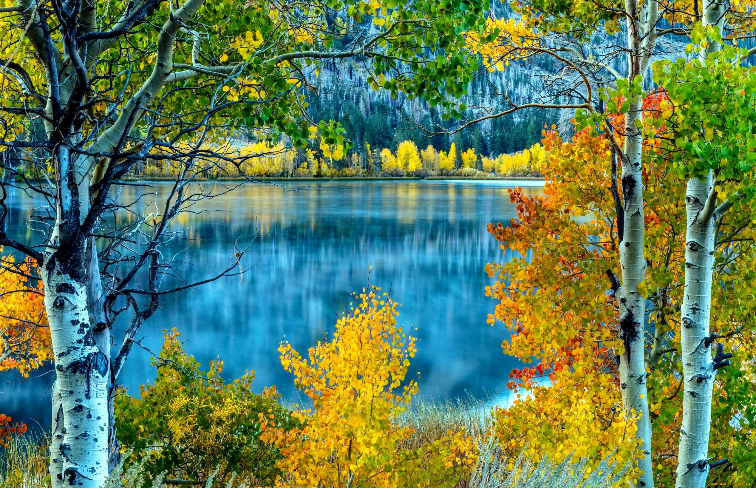 природа, реки, озера, озеро, осень