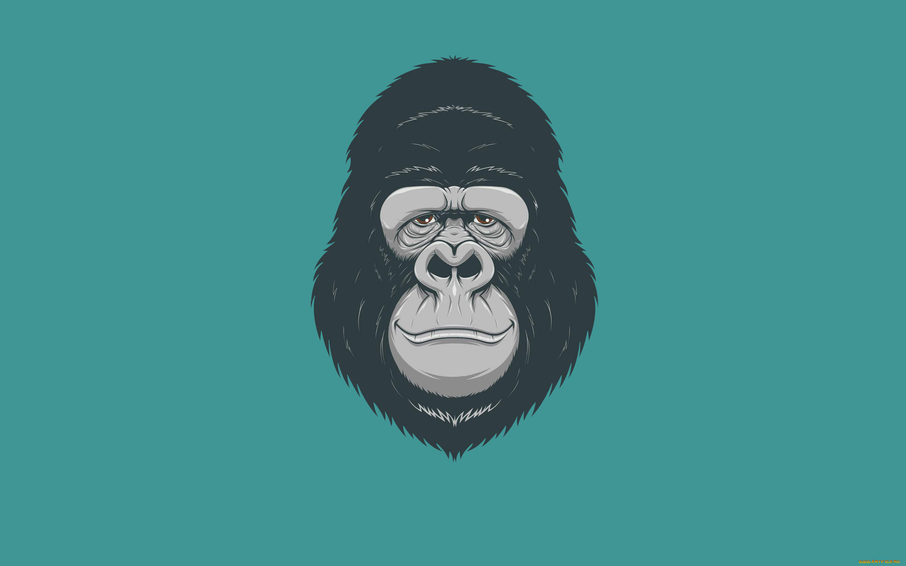 рисованное, минимализм, обезьяна, monkey, голова, gorilla, горилла
