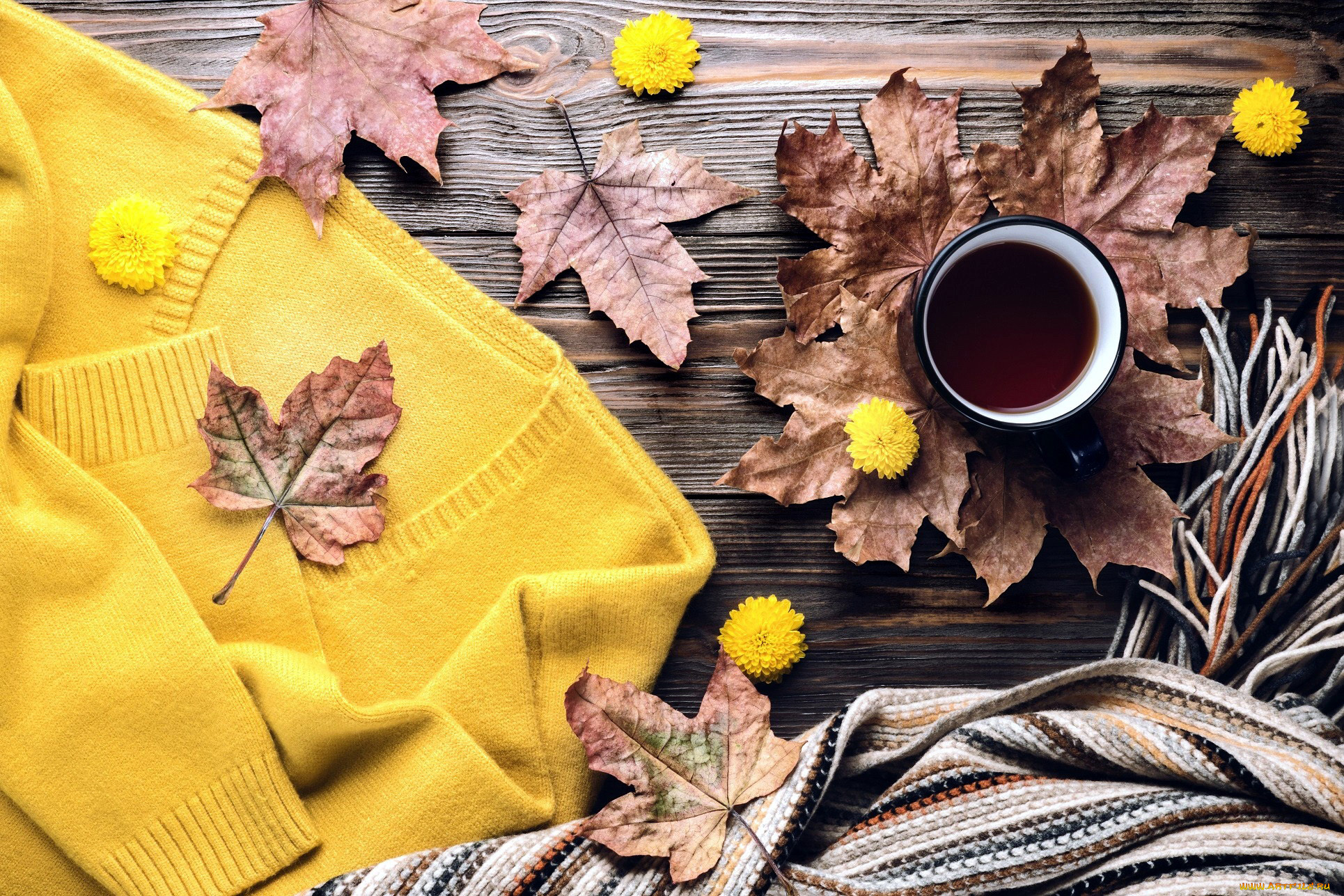 еда, кофе, , кофейные, зёрна, свитер, шарф, осень, листья