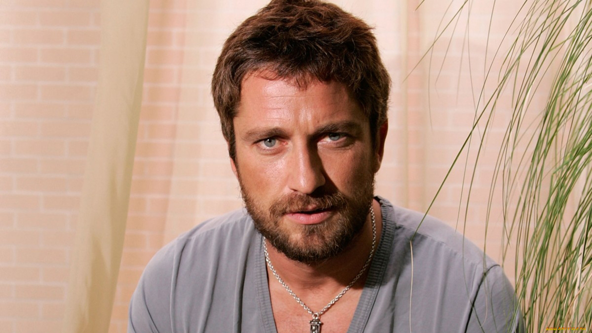 мужчины, gerard, butler, актер, лицо, футболка