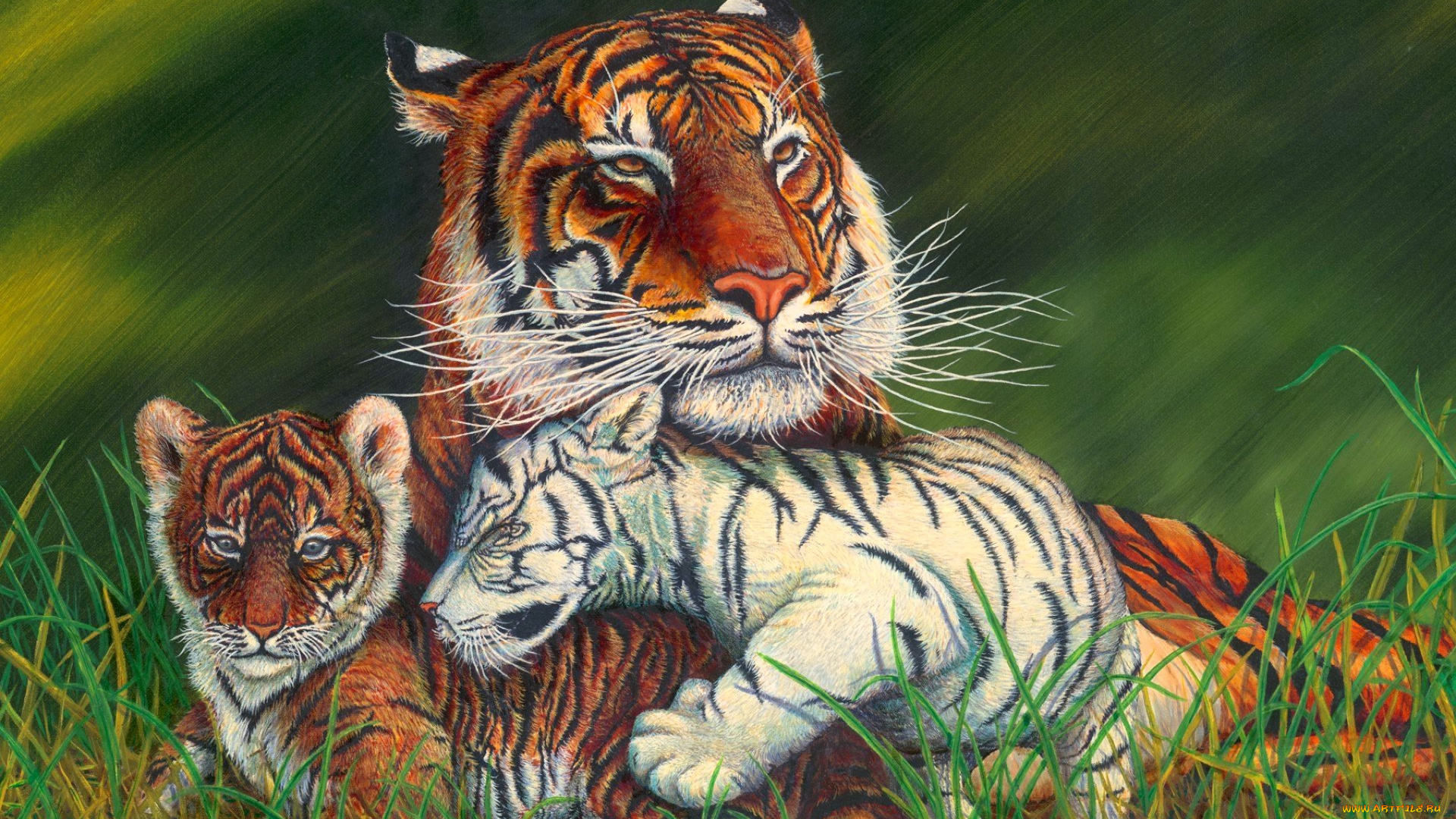 рисованное, животные, , тигры, тигрица, тигрята