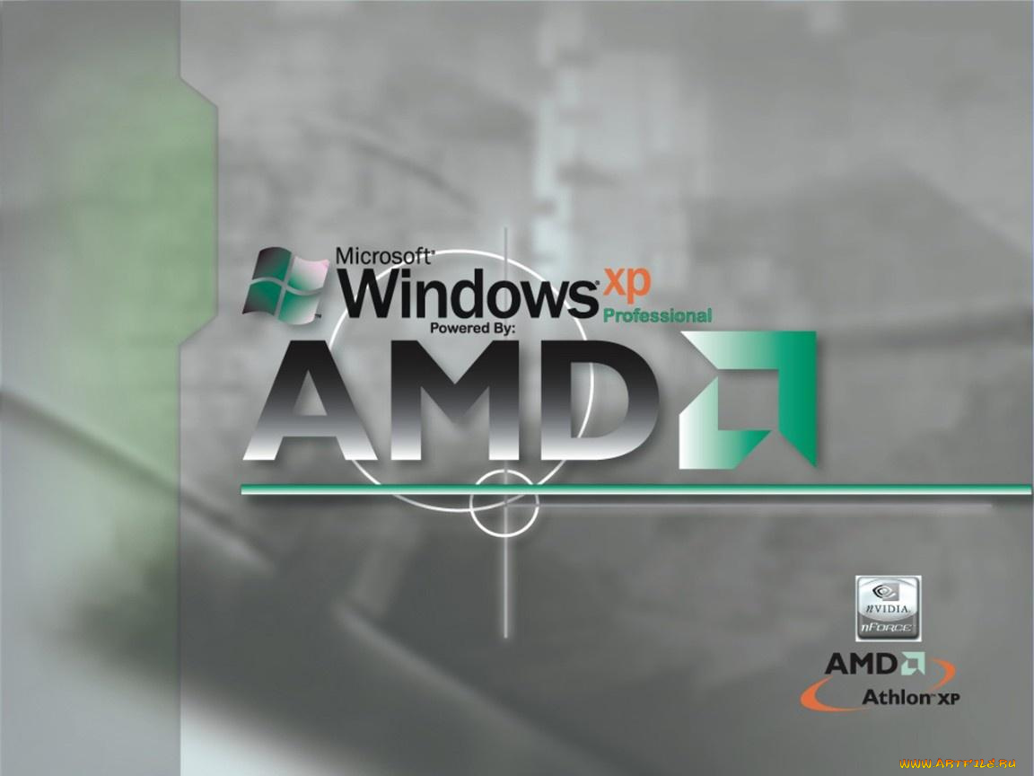 компьютеры, amd