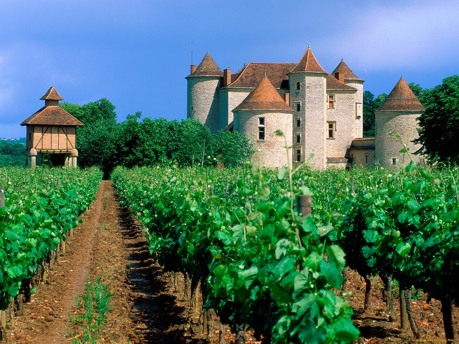 vineyard, cahors, lot, valley, france, города