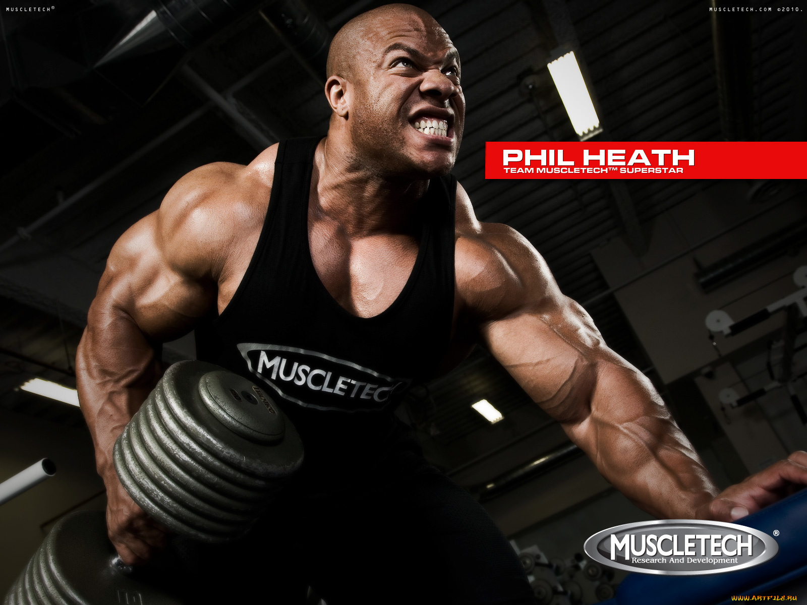 muscletech, бренды, phil, heath