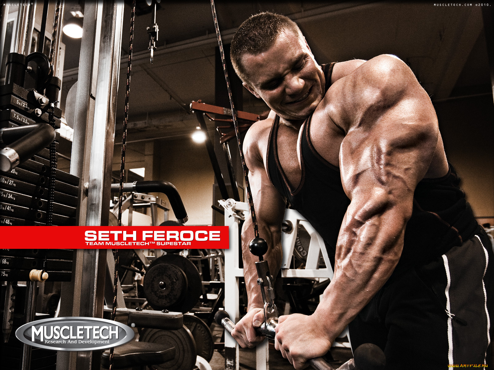 muscletech, бренды, seth, feroce