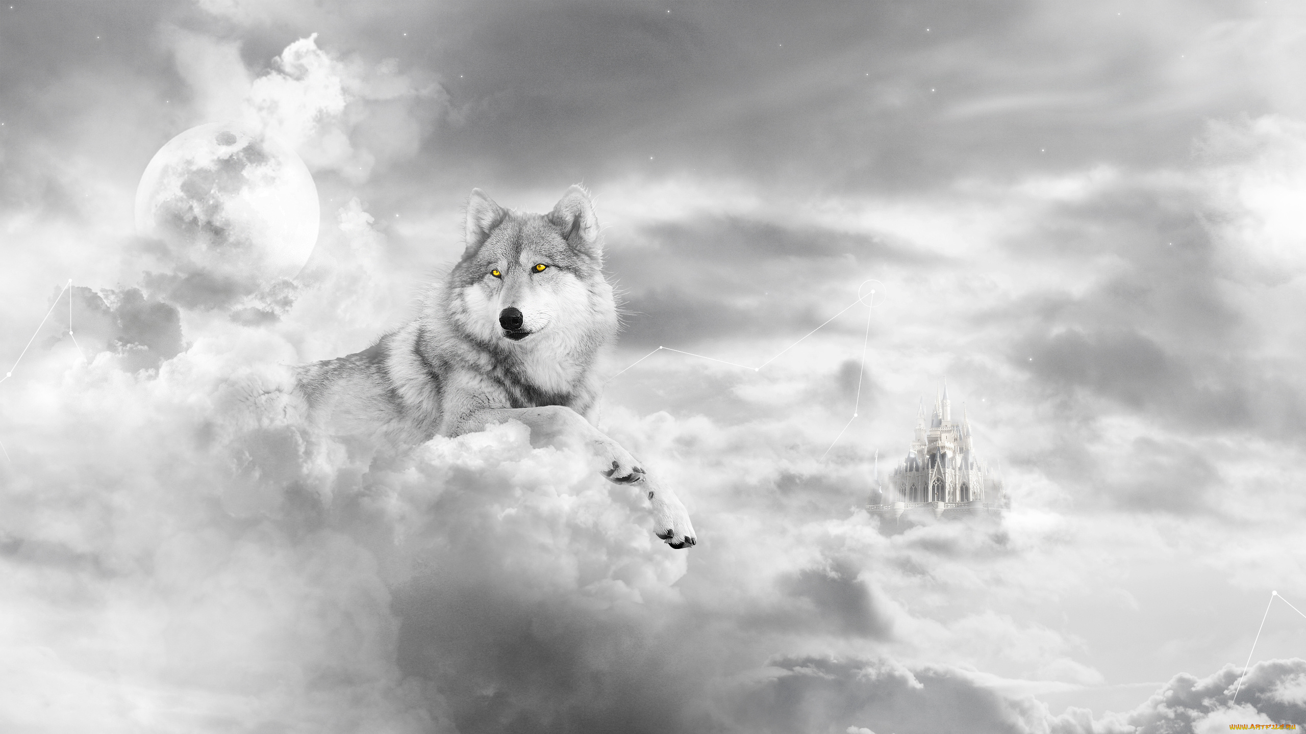 животные, волки, облака, волк