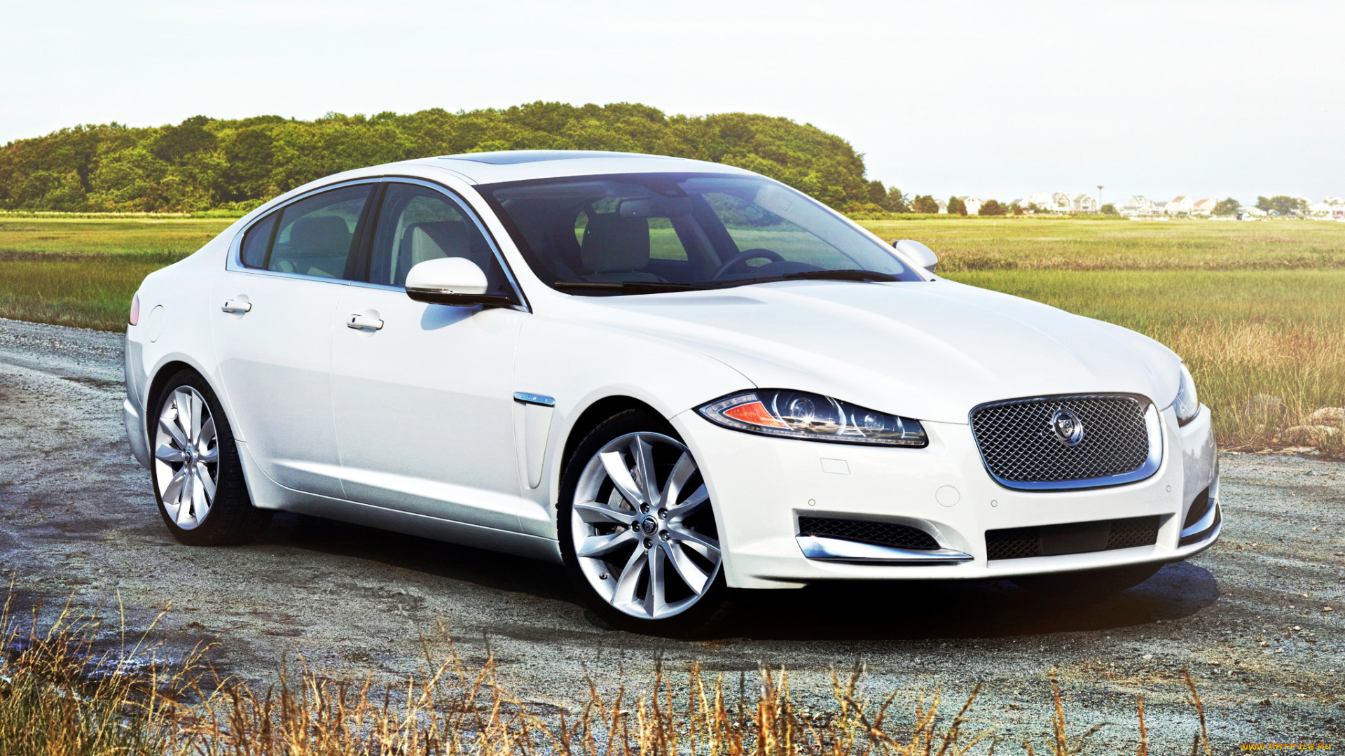 jaguar, xf, автомобили, скорость, мощь, стиль, автомобиль