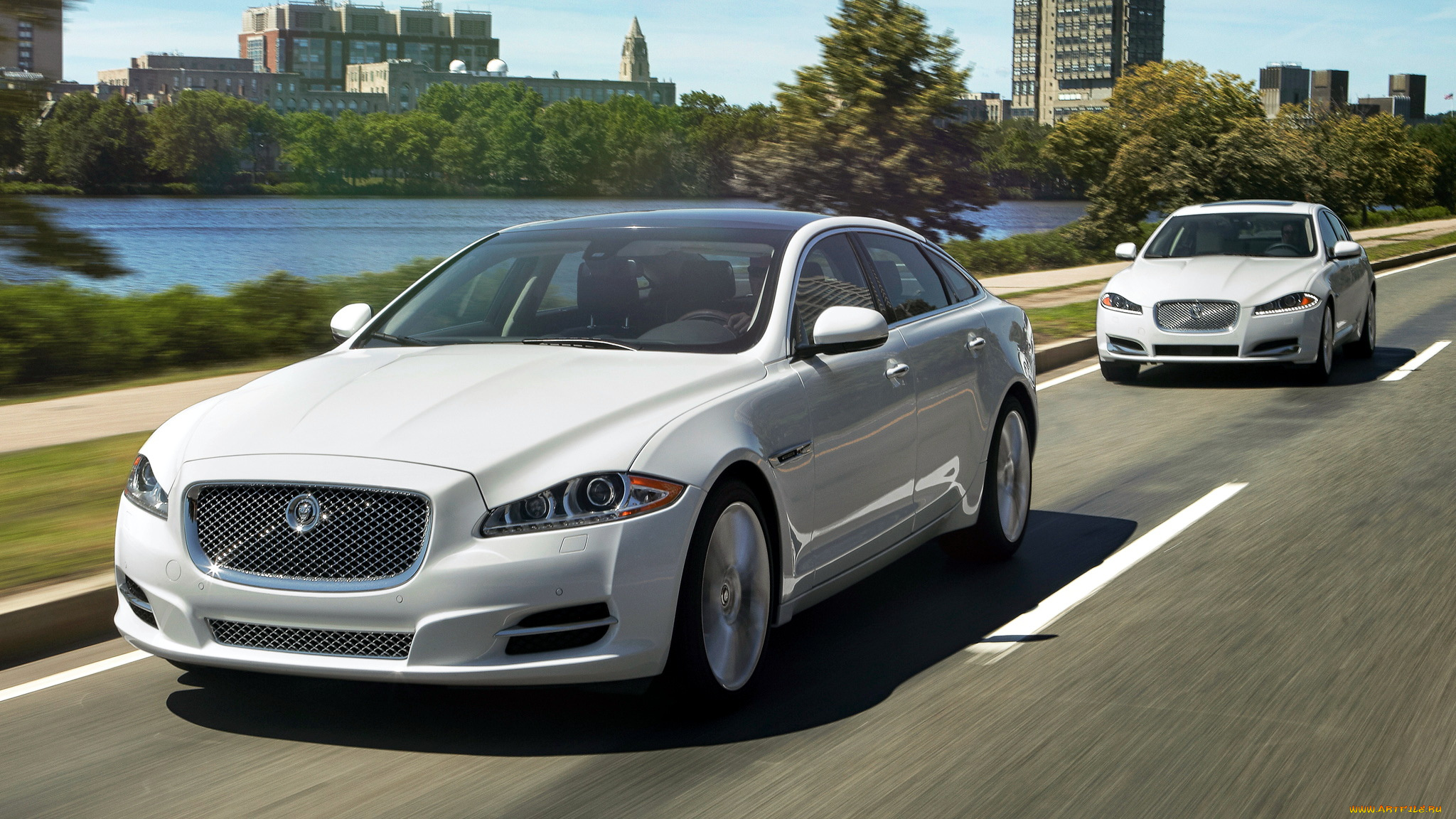 jaguar, mixed, автомобили, скорость, автомобиль, стиль, мощь