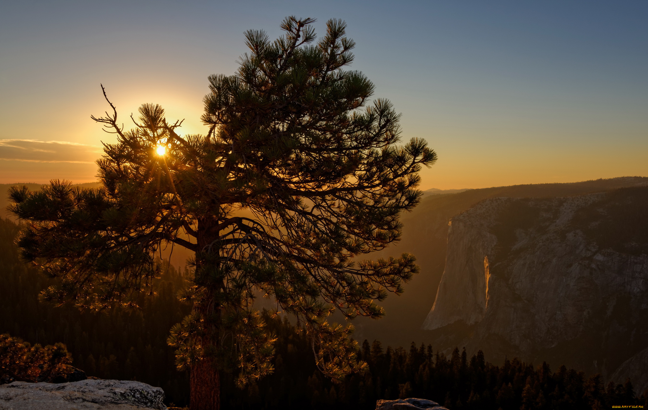 yosemite, national, park, природа, восходы, закаты, yosemite, national, park, закат, горы, сосна, лес