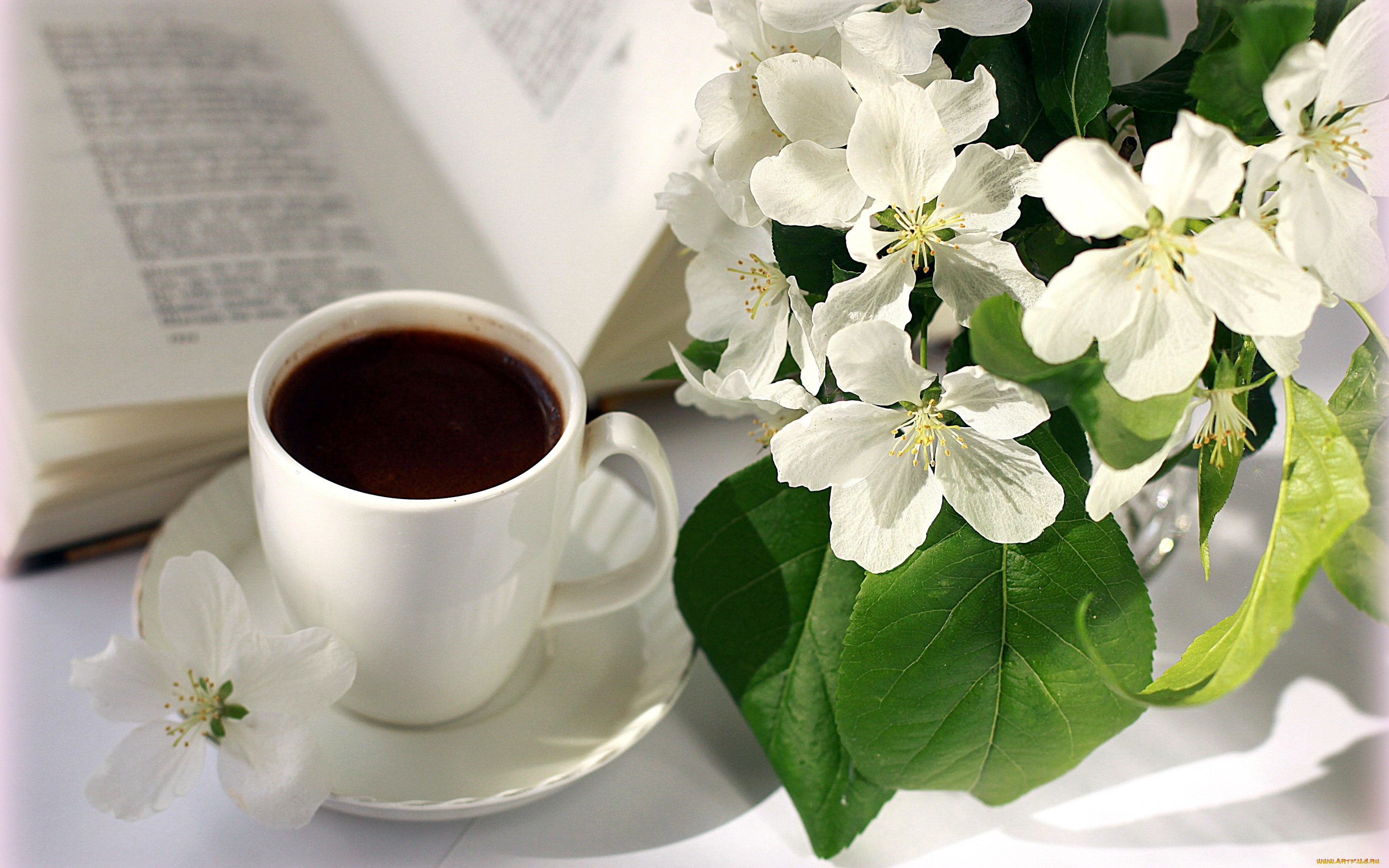 еда, кофе, , кофейные, зёрна, стихи, книга, цветы, ветка, чашка