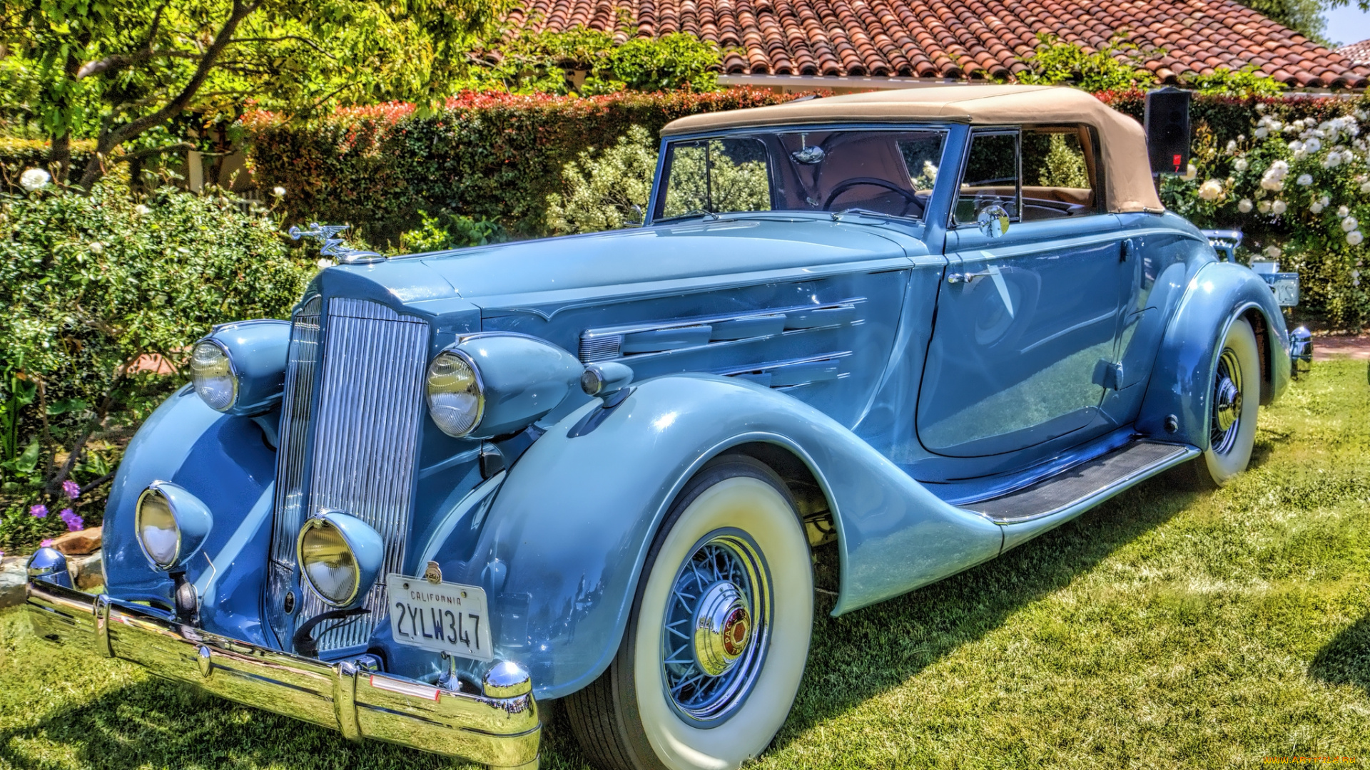 1936, packard, twelve, 1407, coupe, roadster, автомобили, выставки, и, уличные, фото, автошоу, выставка