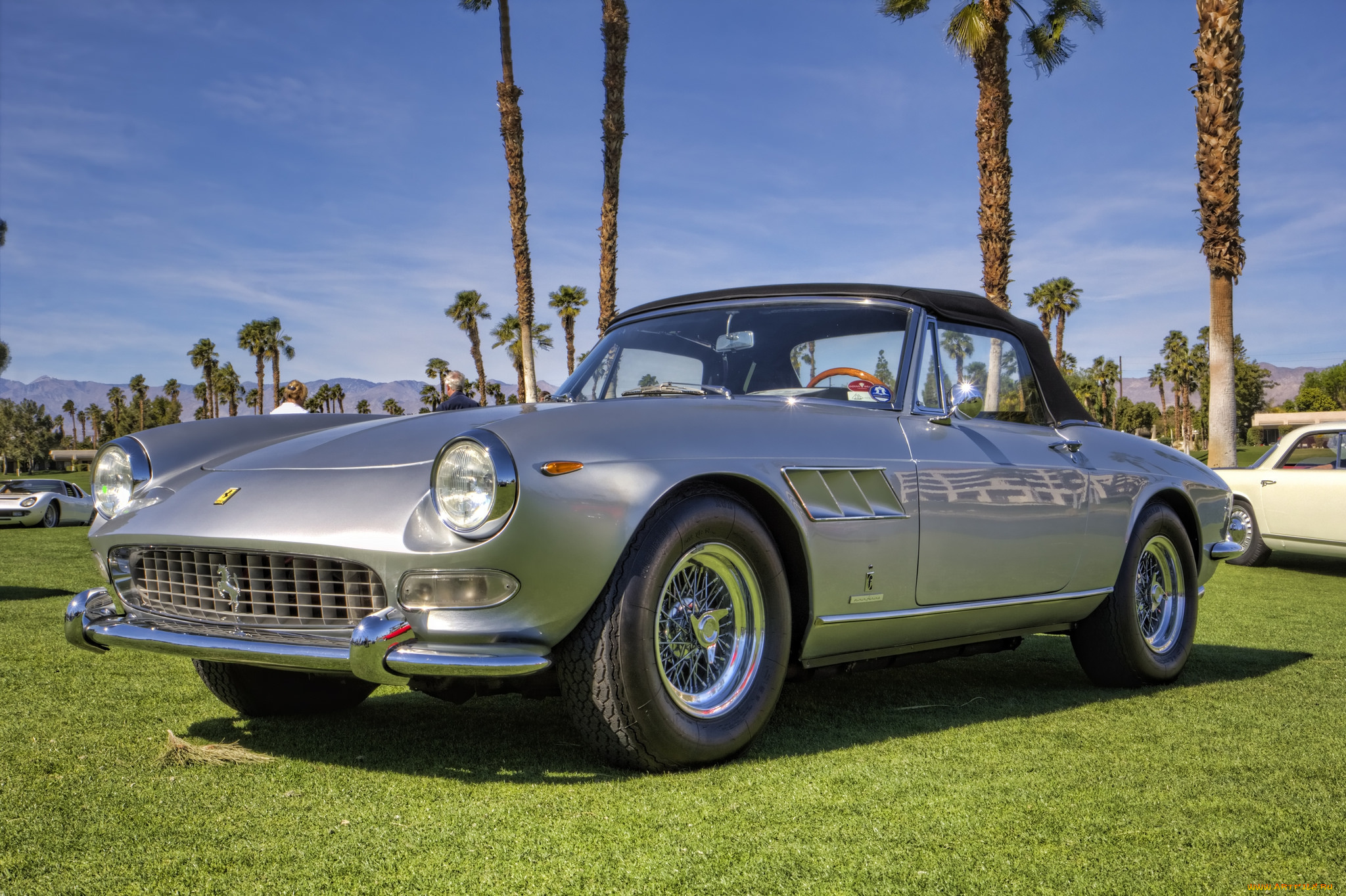 ferrari, 275, gt, spider, автомобили, выставки, и, уличные, фото, автошоу, выставка