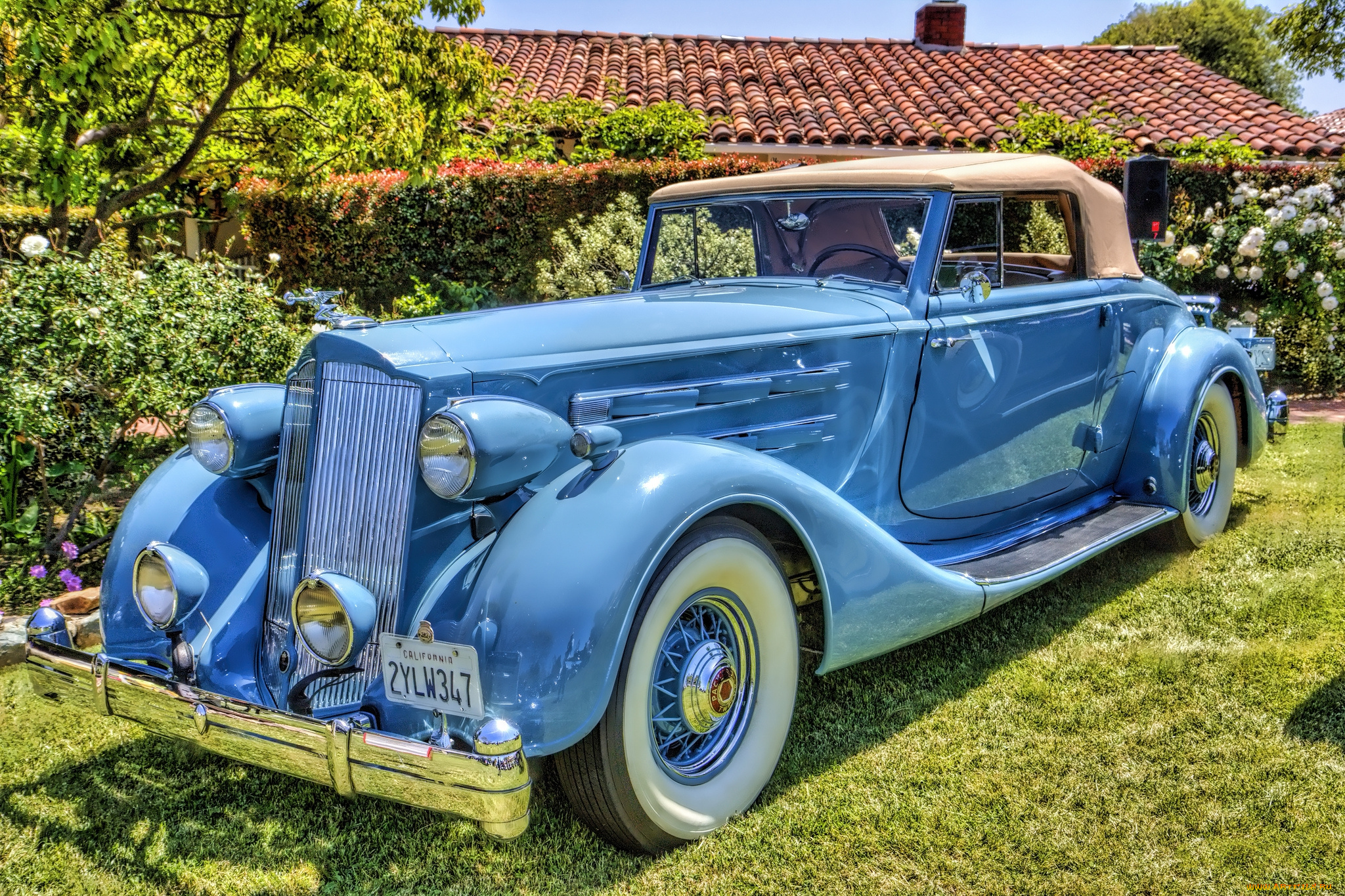 1936, packard, twelve, 1407, coupe, roadster, автомобили, выставки, и, уличные, фото, автошоу, выставка