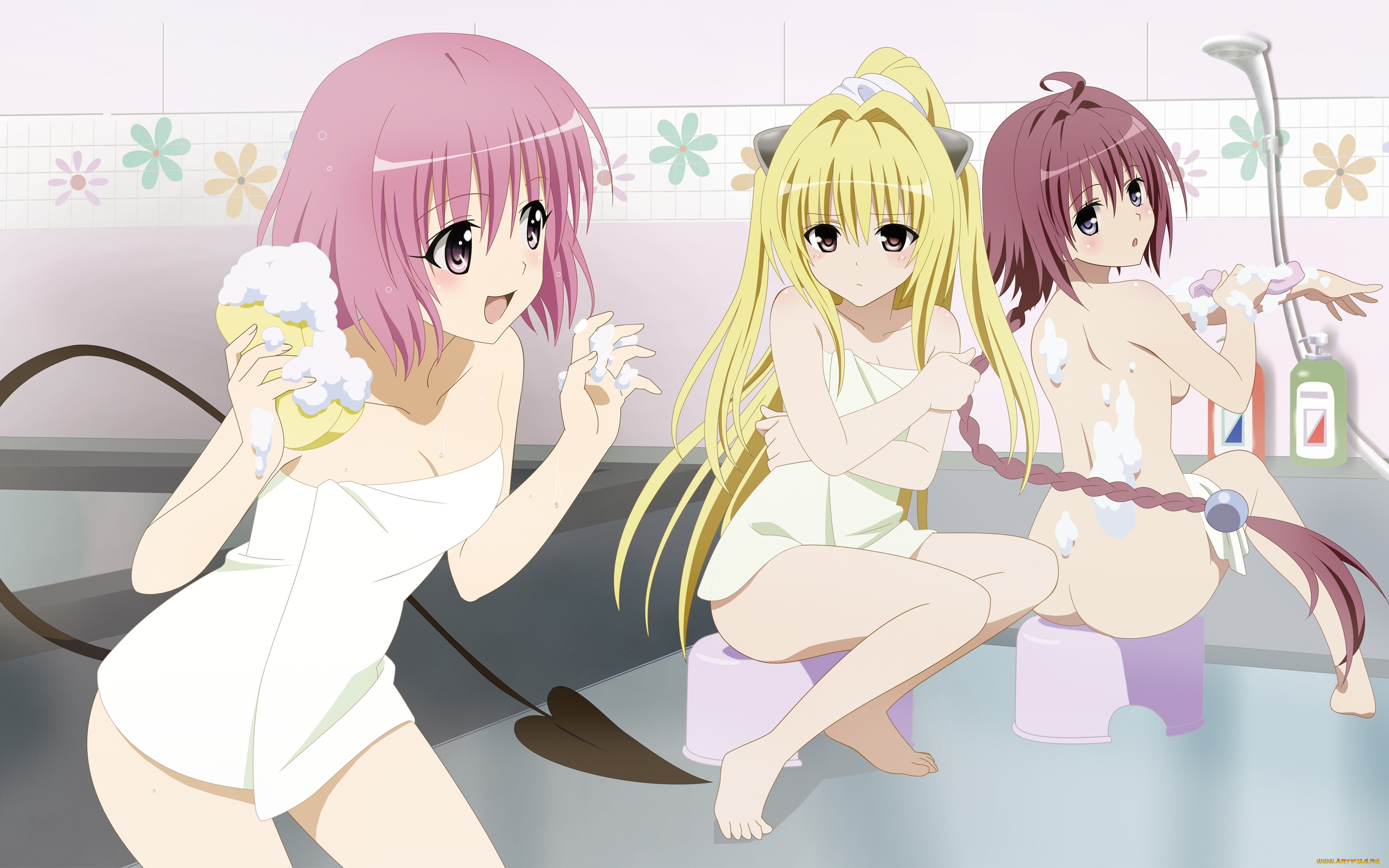 аниме, to-love-ru, хвост, пена, девушки