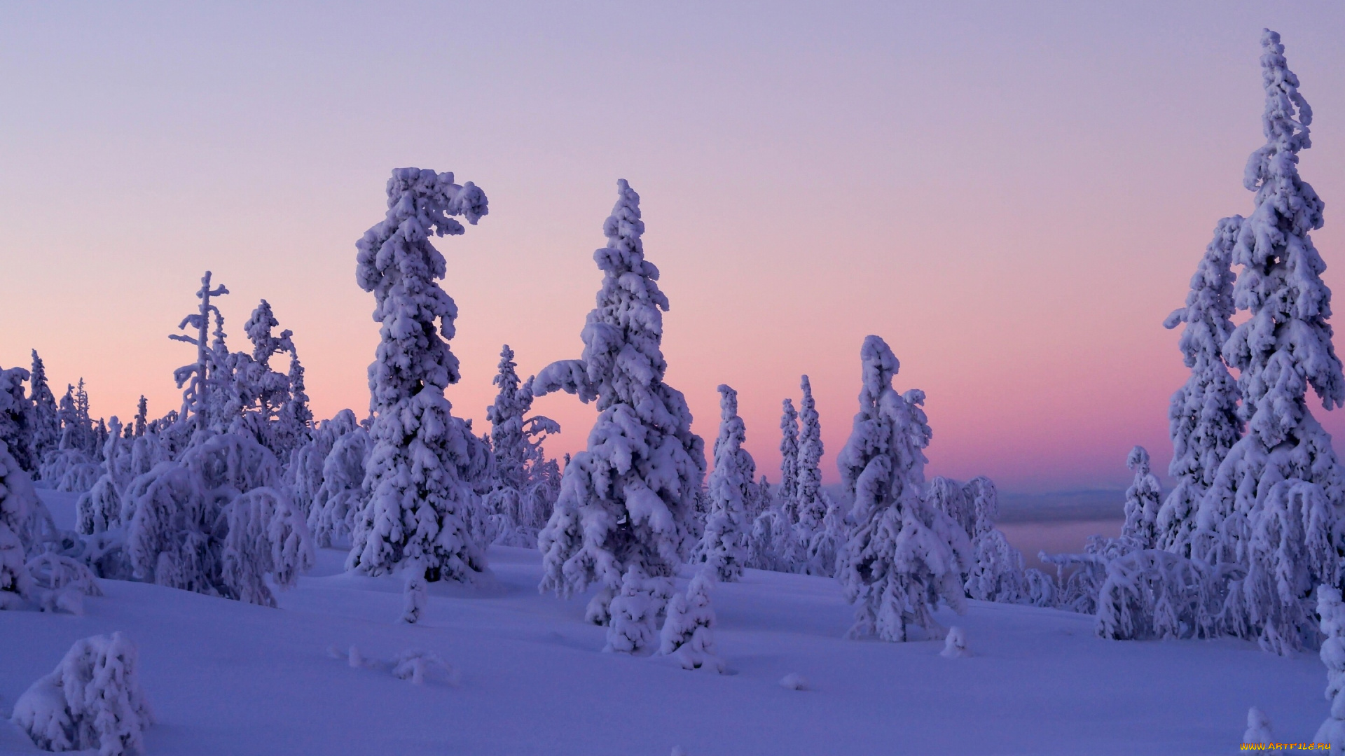 природа, зима, finland, lapland, levi, закат, деревья, снег, леви, лапландия, финляндия