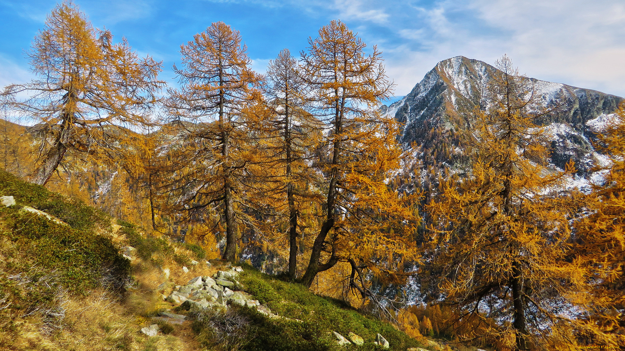 природа, горы, лес, осень