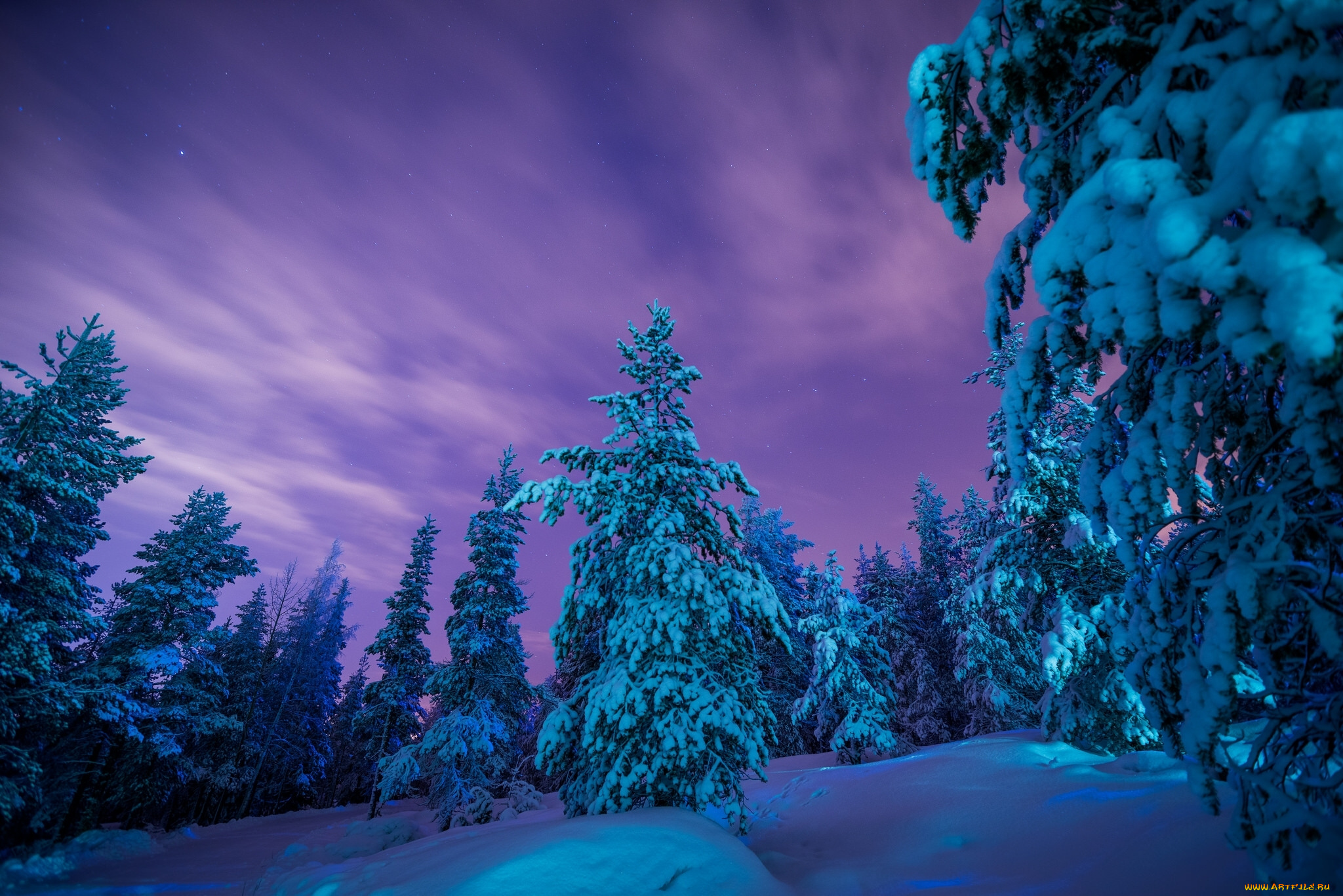 природа, зима, сугробы, лес, снег, финляндия, лапландия, деревья, finland, lapland