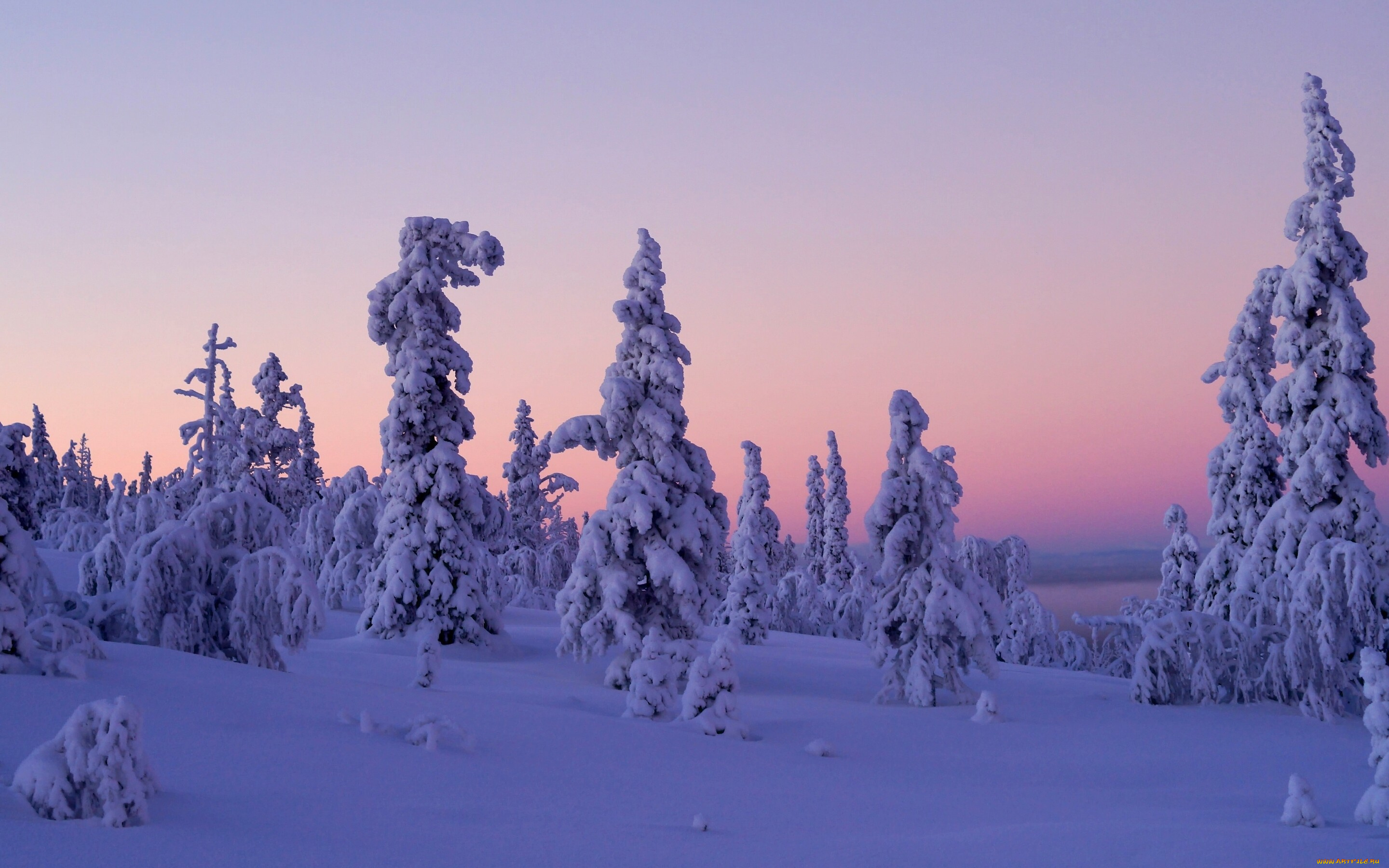 природа, зима, finland, lapland, levi, закат, деревья, снег, леви, лапландия, финляндия