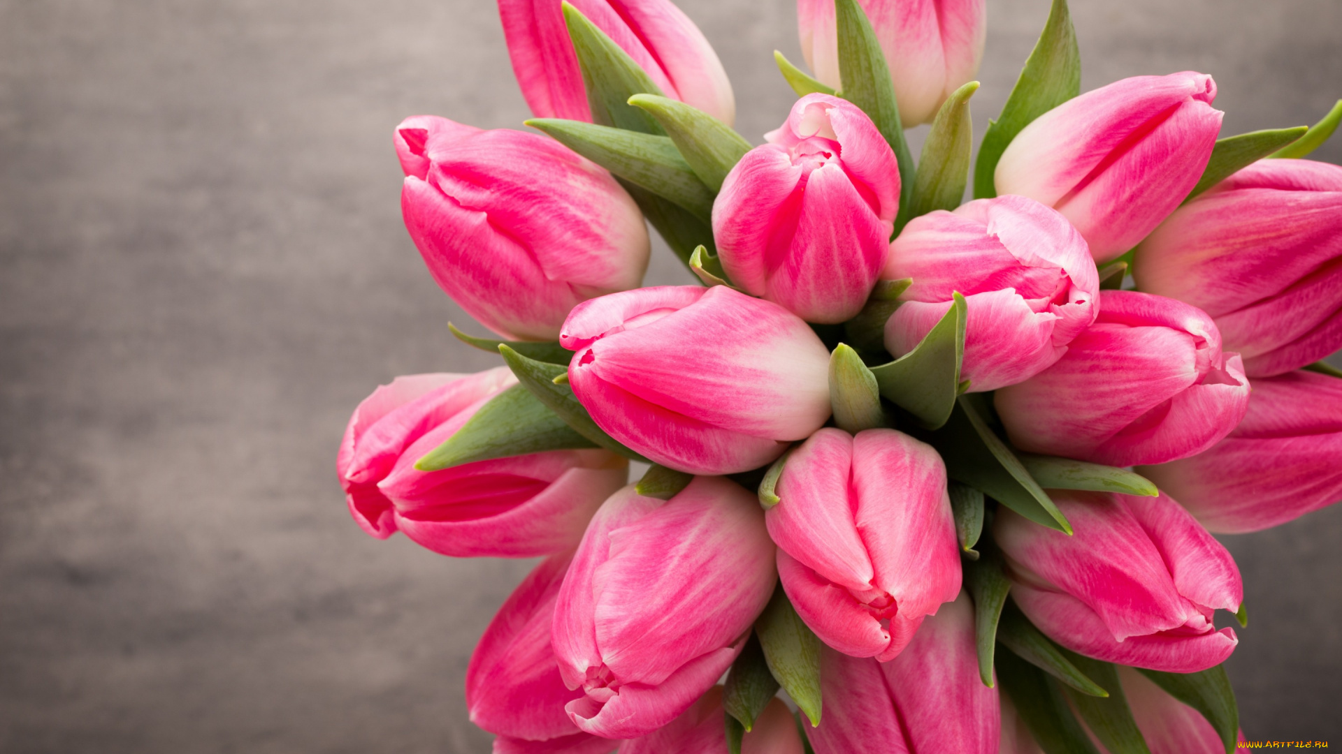 цветы, тюльпаны, beautiful, розовые, fresh, белые, tulips, букет, spring, flowers