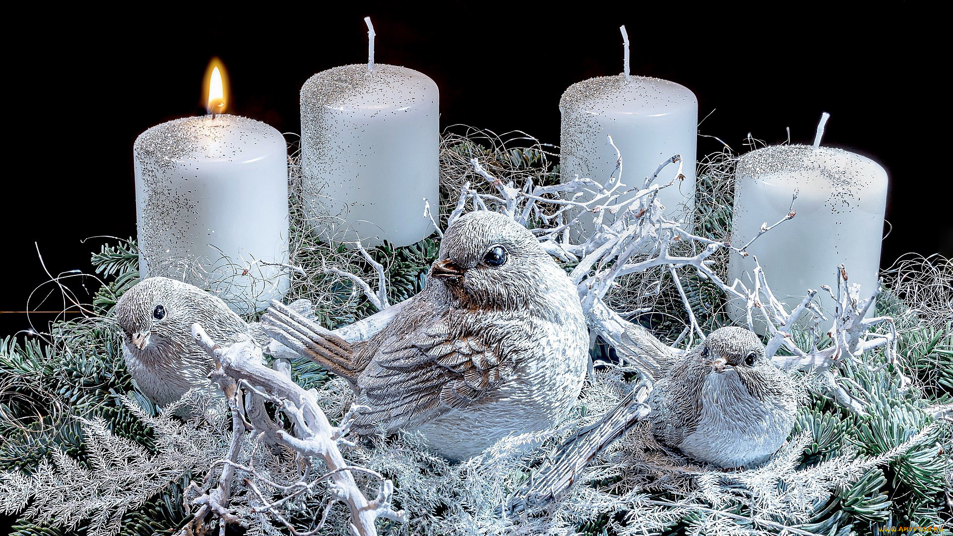праздничные, новогодние, свечи, свечи, голуби, птицы