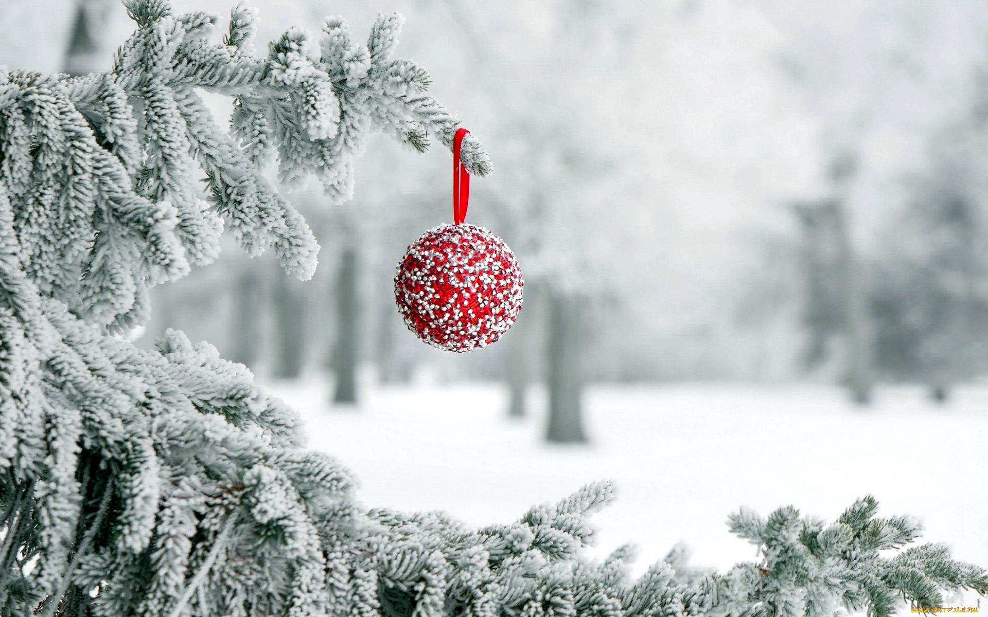 праздничные, шары, снег, шарик, елка