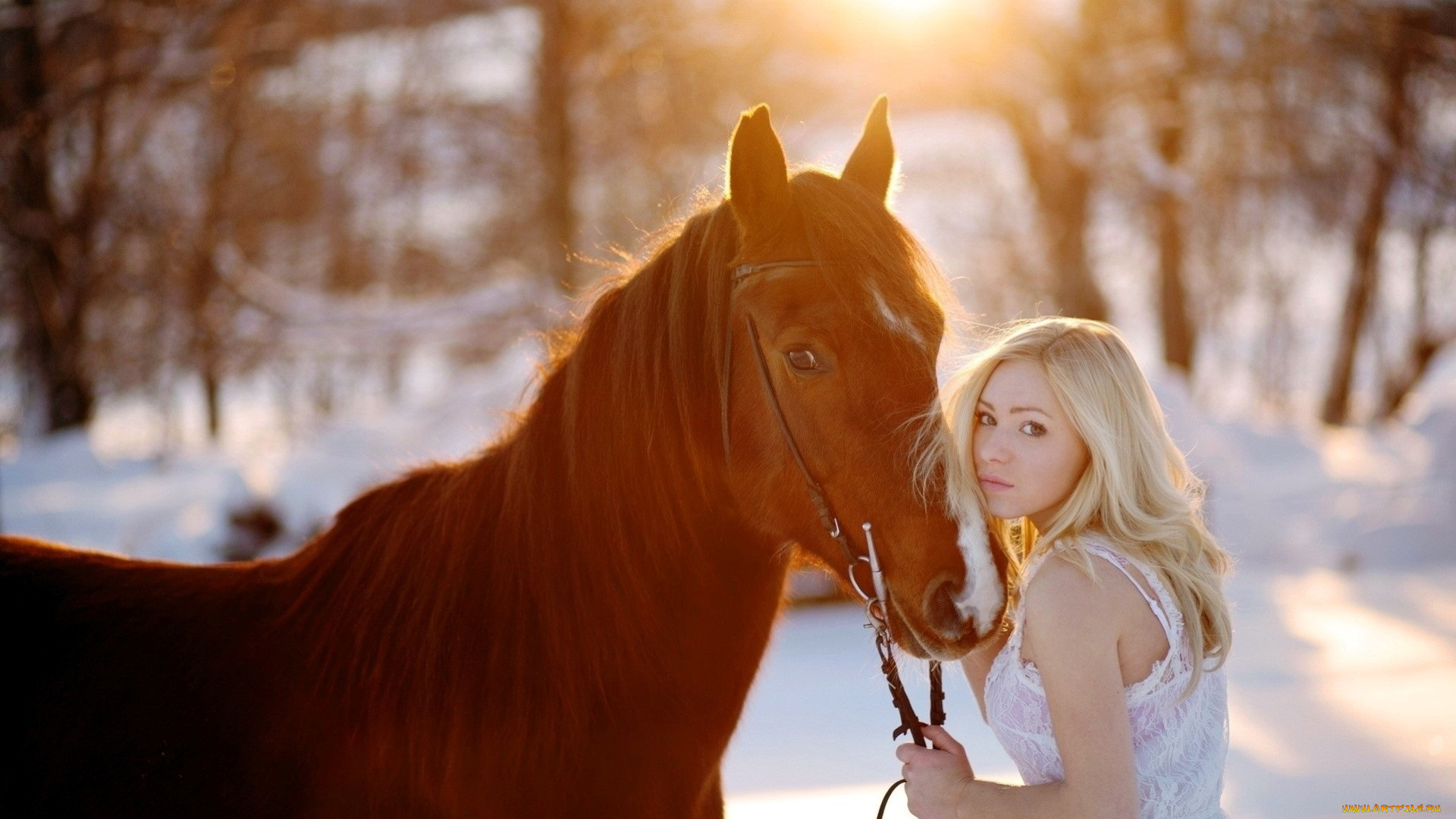 девушки, -, блондинки, , светловолосые, блондинка, платье, лошадь, лес, снег