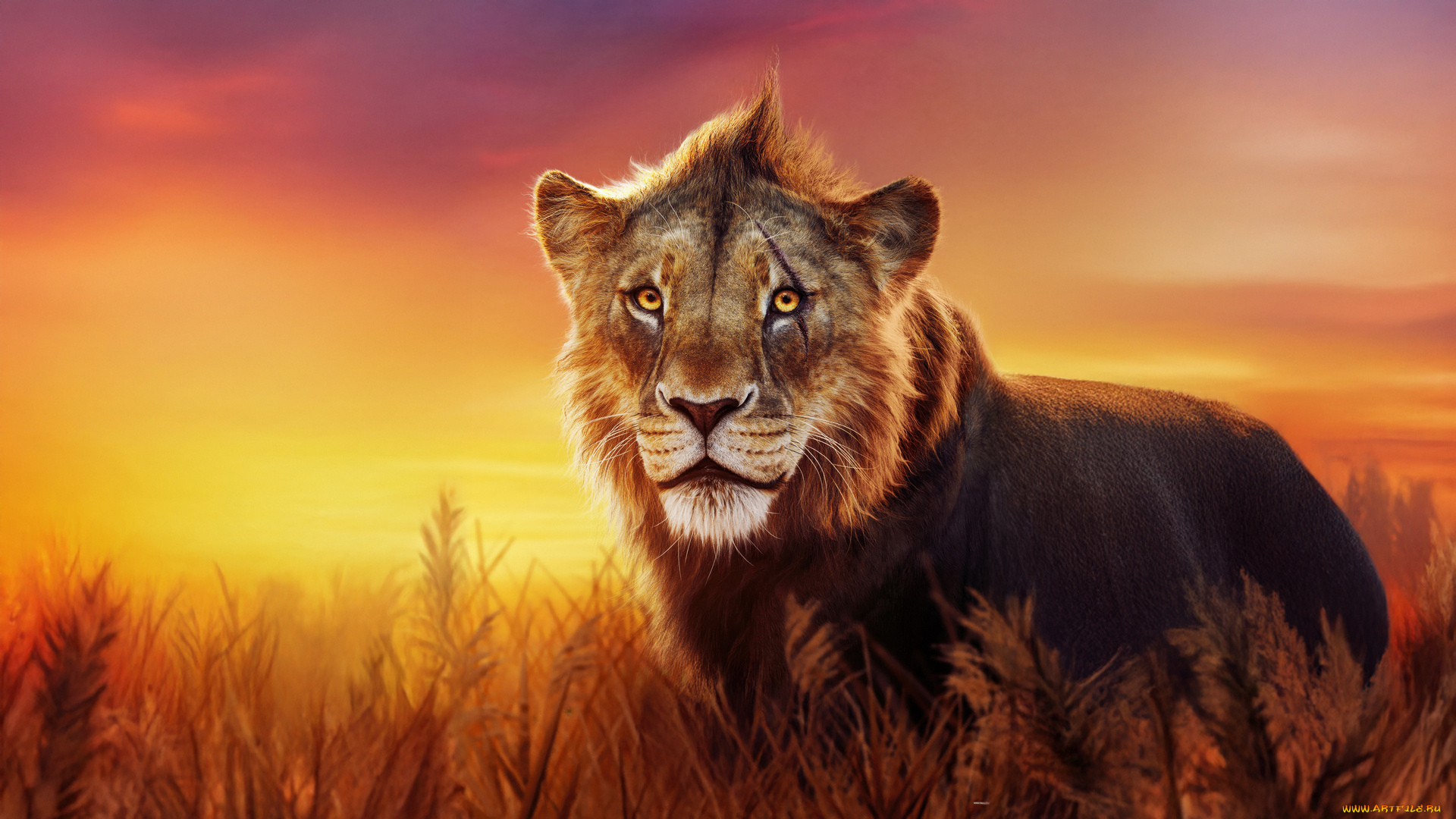 mufasa, , the, lion, king, , , 2024, , мультфильмы, , the, lion, king, муфаса, кoрoль, лeв, мультфильм, мюзикл, приключения, семейный, disney, пoстeр, the, lion, king, taka