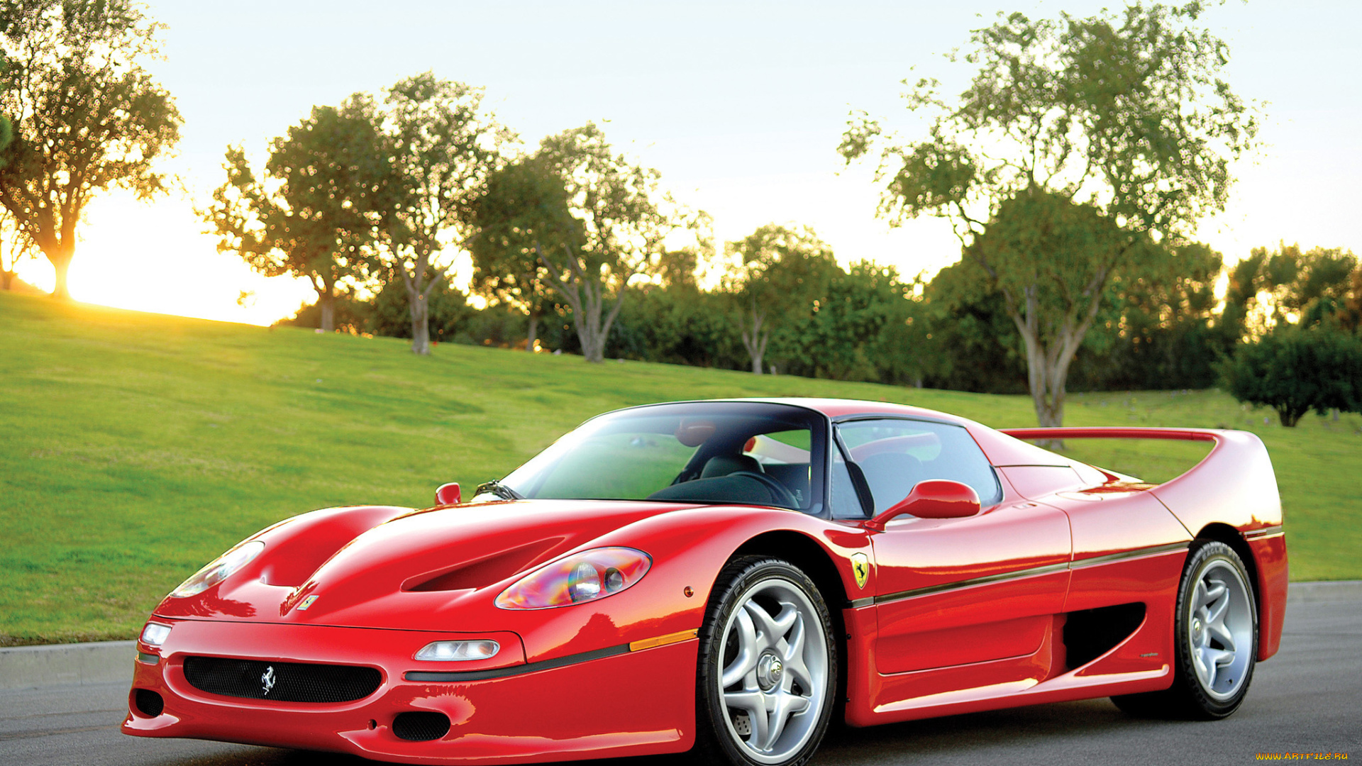 автомобили, ferrari, f50