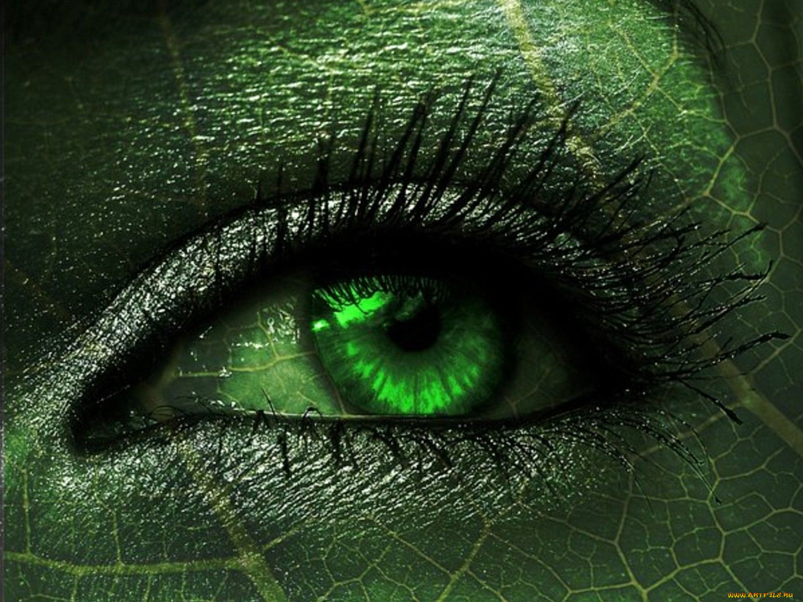 разное, глаза, глаз, зелёный