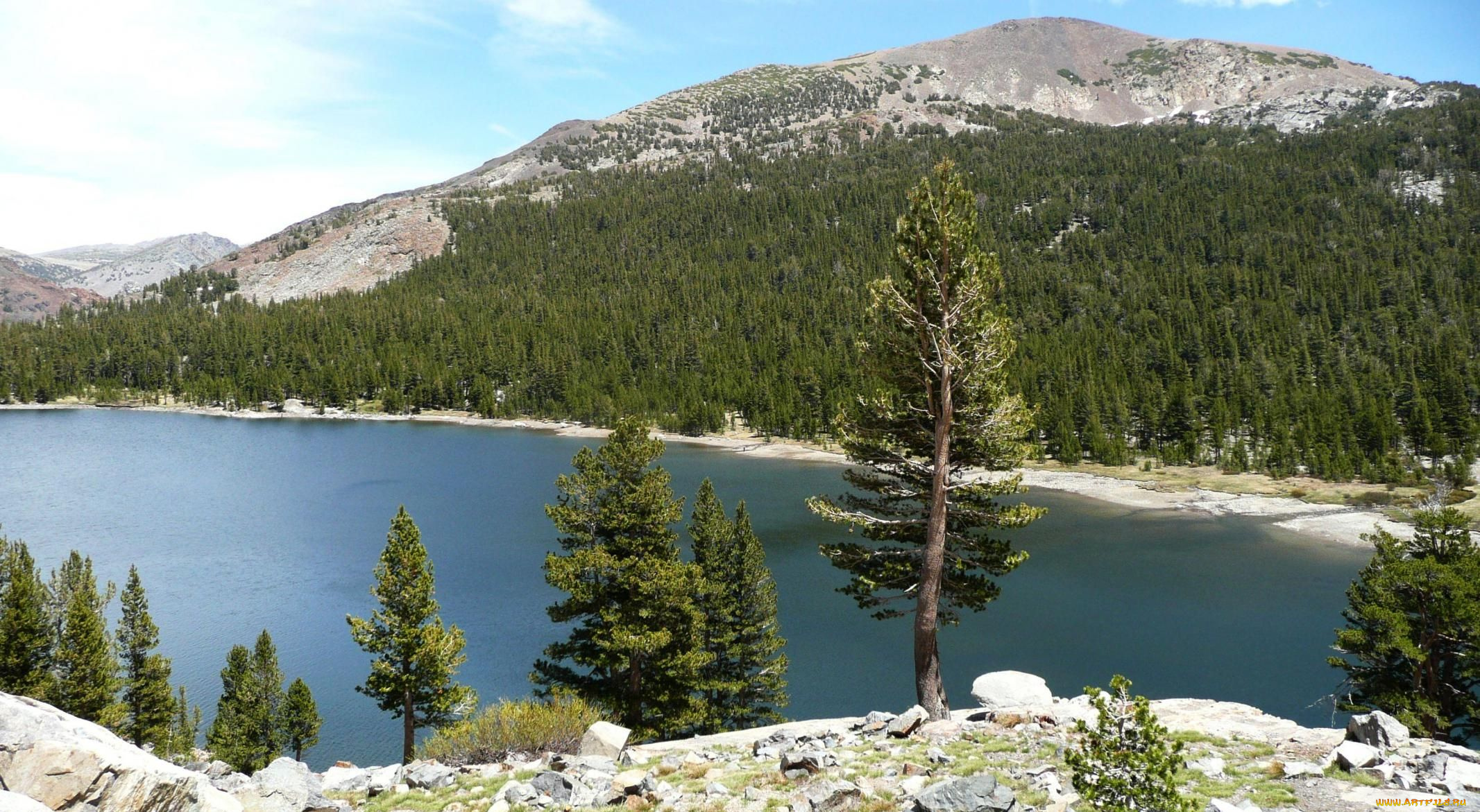 природа, реки, озера, yosemite, tenaya