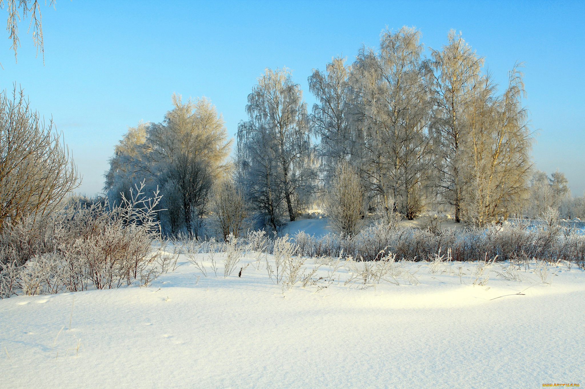 природа, зима, солнце, деревья, снег