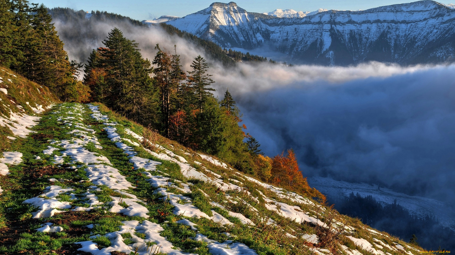 природа, горы, деревья, дорога, трава, туман, снег