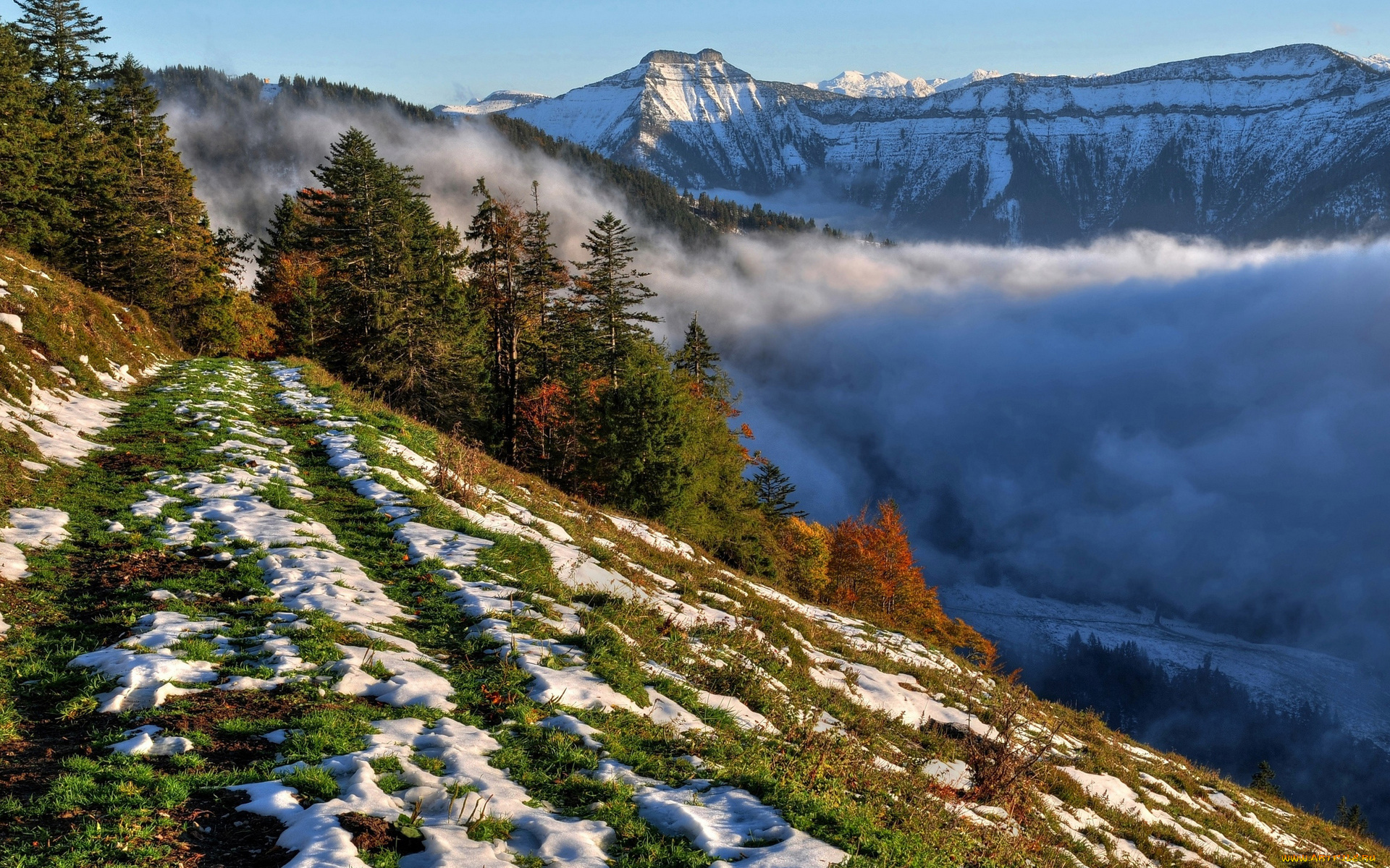 природа, горы, деревья, дорога, трава, туман, снег