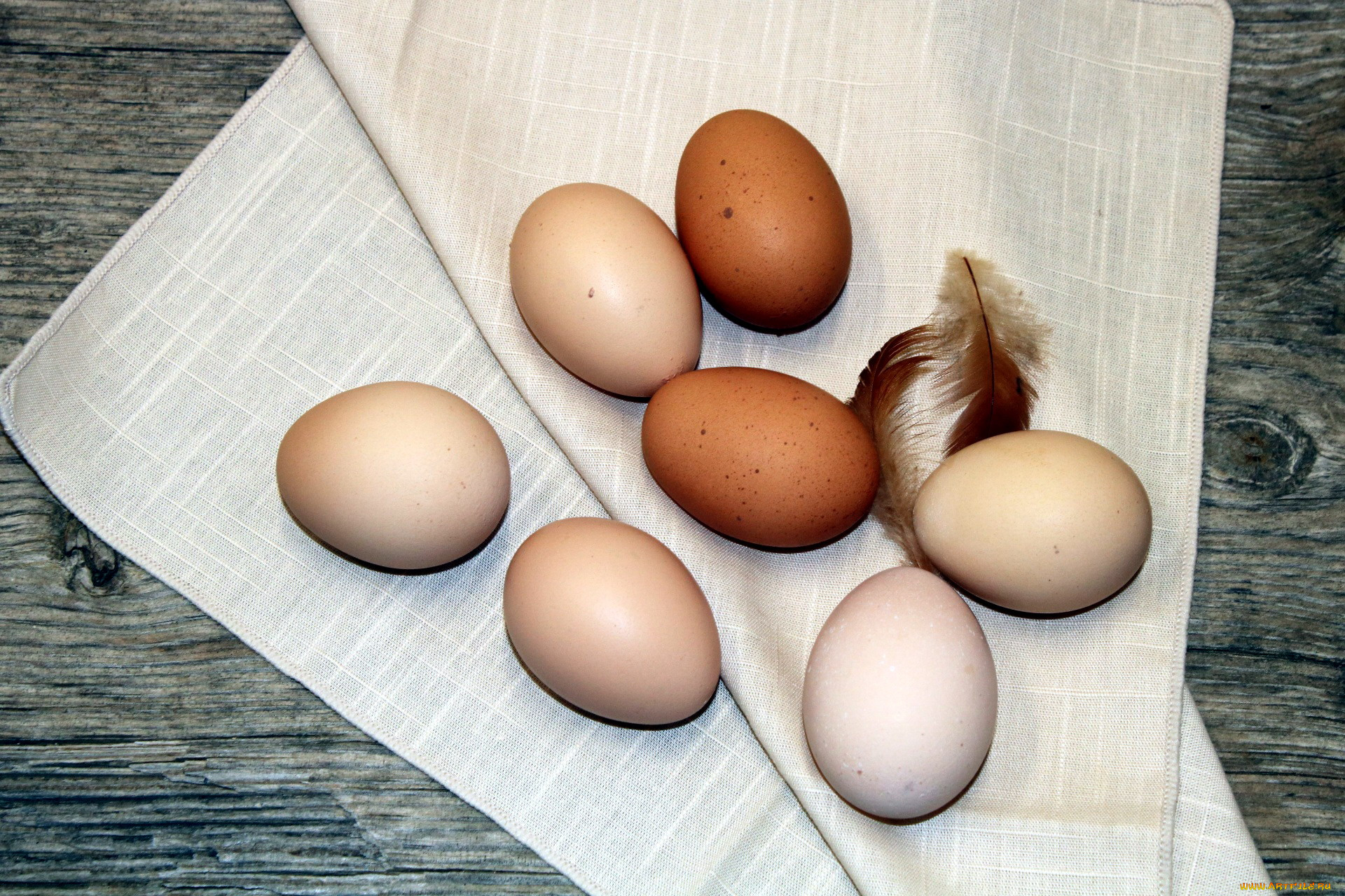 еда, Яйца, яйца, перья